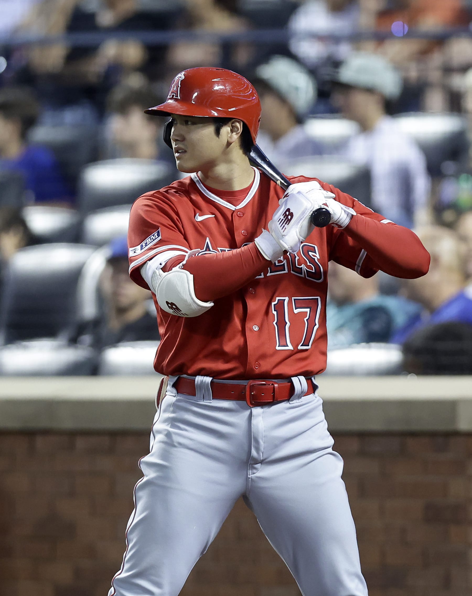 Shohei Ohtani
