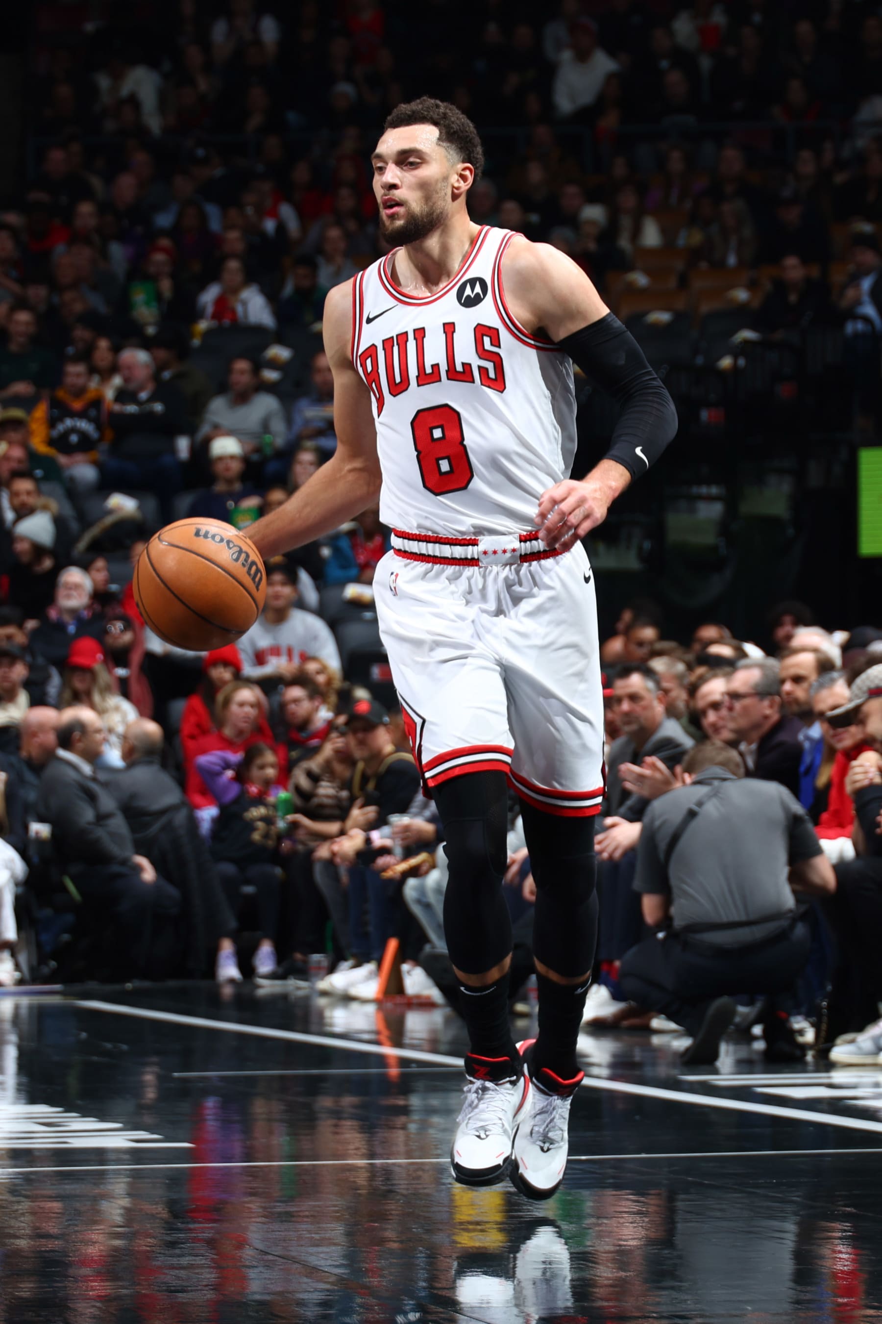 TORONTO, CANADA - NOVEMBER 24:  Zach LaVine #8 of the Chicago Bulls handles the ball during the game  during the In-Season Tournament on November 24, 2023 at the Scotiabank Arena in Toronto, Ontario, Canada.  NOTE TO USER: User expressly acknowledges and agrees that, by downloading and or using this Photograph, user is consenting to the terms and conditions of the Getty Images License Agreement.  Mandatory Copyright Notice: Copyright 2023 NBAE (Photo by Vaughn Ridley/NBAE via Getty Images)