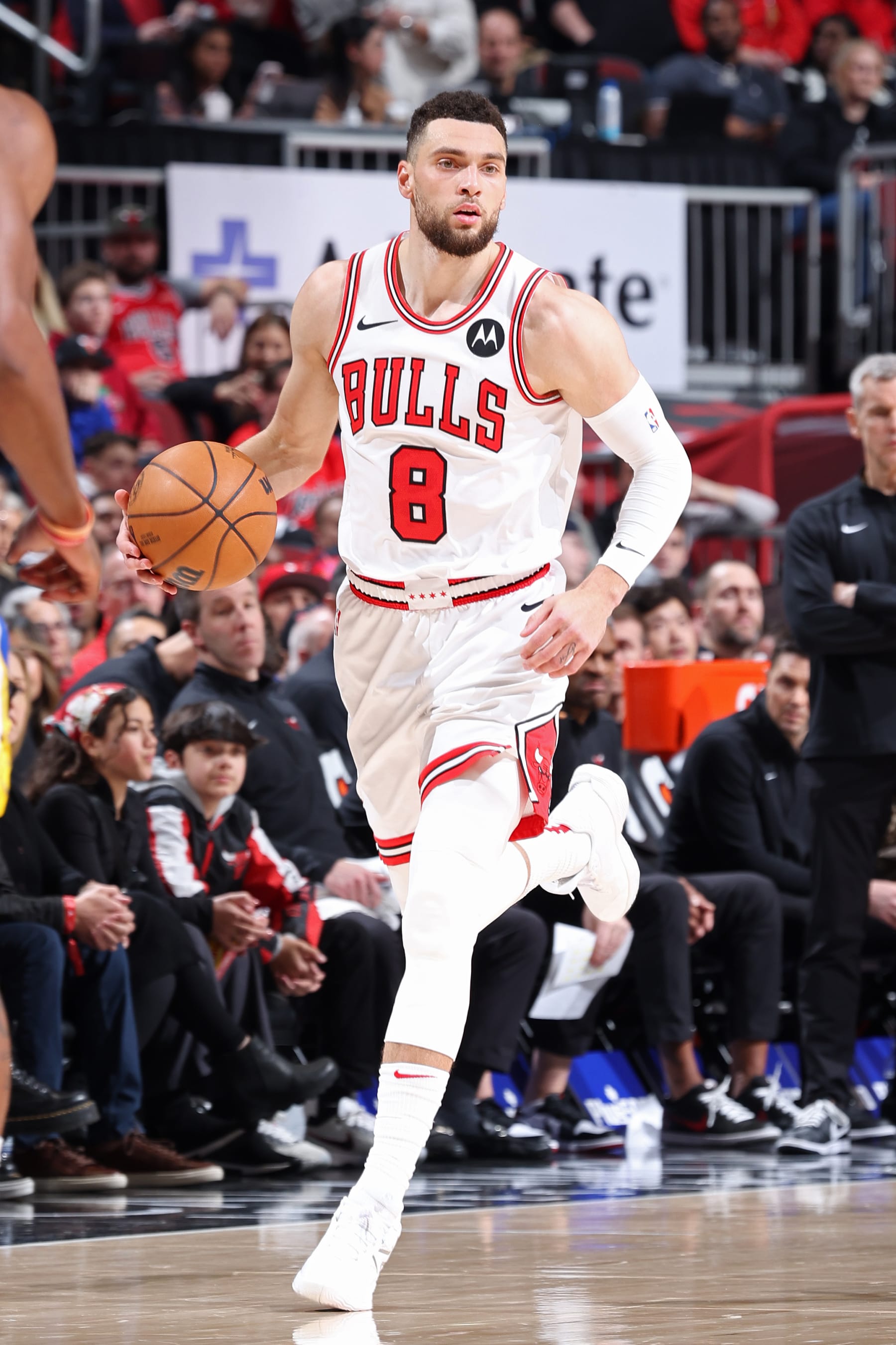 CHICAGO, IL - JANUARY 12: Zach LaVine #8 of the Chicago Bulls brings the ball up court during the game against the Golden State Warriors on January 12, 2024 at United Center in Chicago, Illinois. NOTE TO USER: User expressly acknowledges and agrees that, by downloading and or using this photograph, User is consenting to the terms and conditions of the Getty Images License Agreement. Mandatory Copyright Notice: Copyright 2024 NBAE (Photo by Jeff Haynes/NBAE via Getty Images)