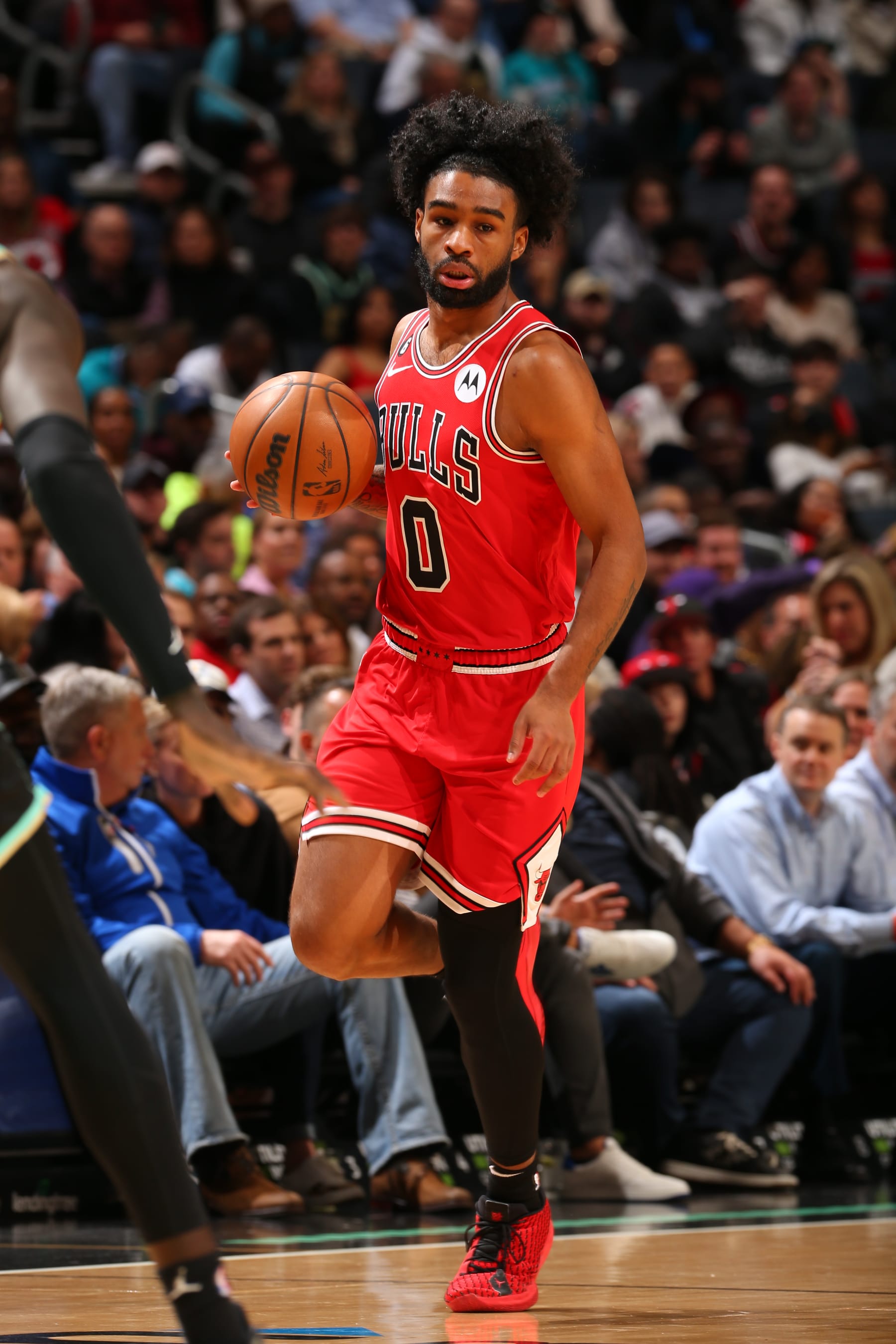 CHARLOTTE, NC - JANUARY 26: Coby White #0 of the Chicago Bulls dribbles the ball during the game against the Charlotte Hornets on January 26, 2023 at Spectrum Center in Charlotte, North Carolina. NOTE TO USER: User expressly acknowledges and agrees that, by downloading and or using this photograph, User is consenting to the terms and conditions of the Getty Images License Agreement. Mandatory Copyright Notice: Copyright 2023 NBAE (Photo by Kent Smith/NBAE via Getty Images)