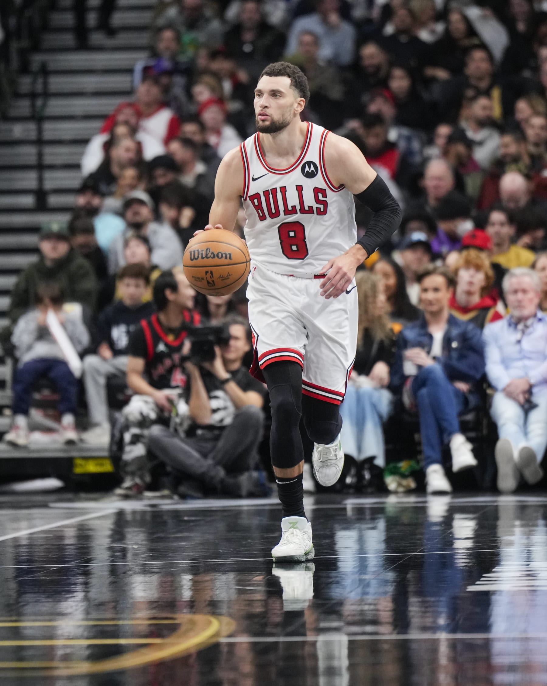 TORONTO, ON - NOVEMBER 24: Zach LaVine #8 of the Chicago Bulls dribbles against the Toronto Raptors during the second half of their NBA In-Season Tournament game at the Scotiabank Arena on November 24, 2023 in Toronto, Ontario, Canada. NOTE TO USER: User expressly acknowledges and agrees that, by downloading and/or using this Photograph, user is consenting to the terms and conditions of the Getty Images License Agreement. (Photo by Mark Blinch/Getty Images)
