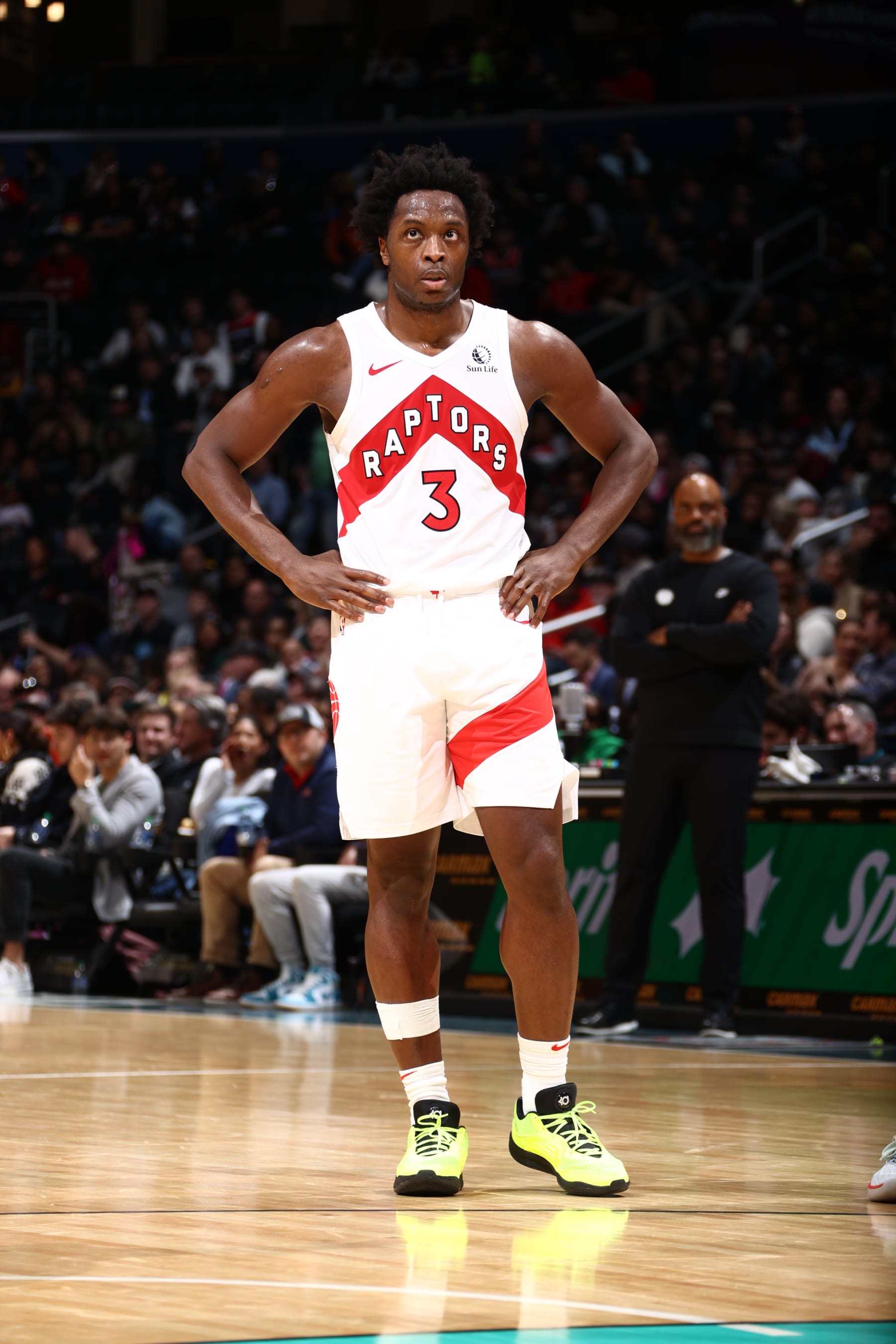 OG Anunoby
