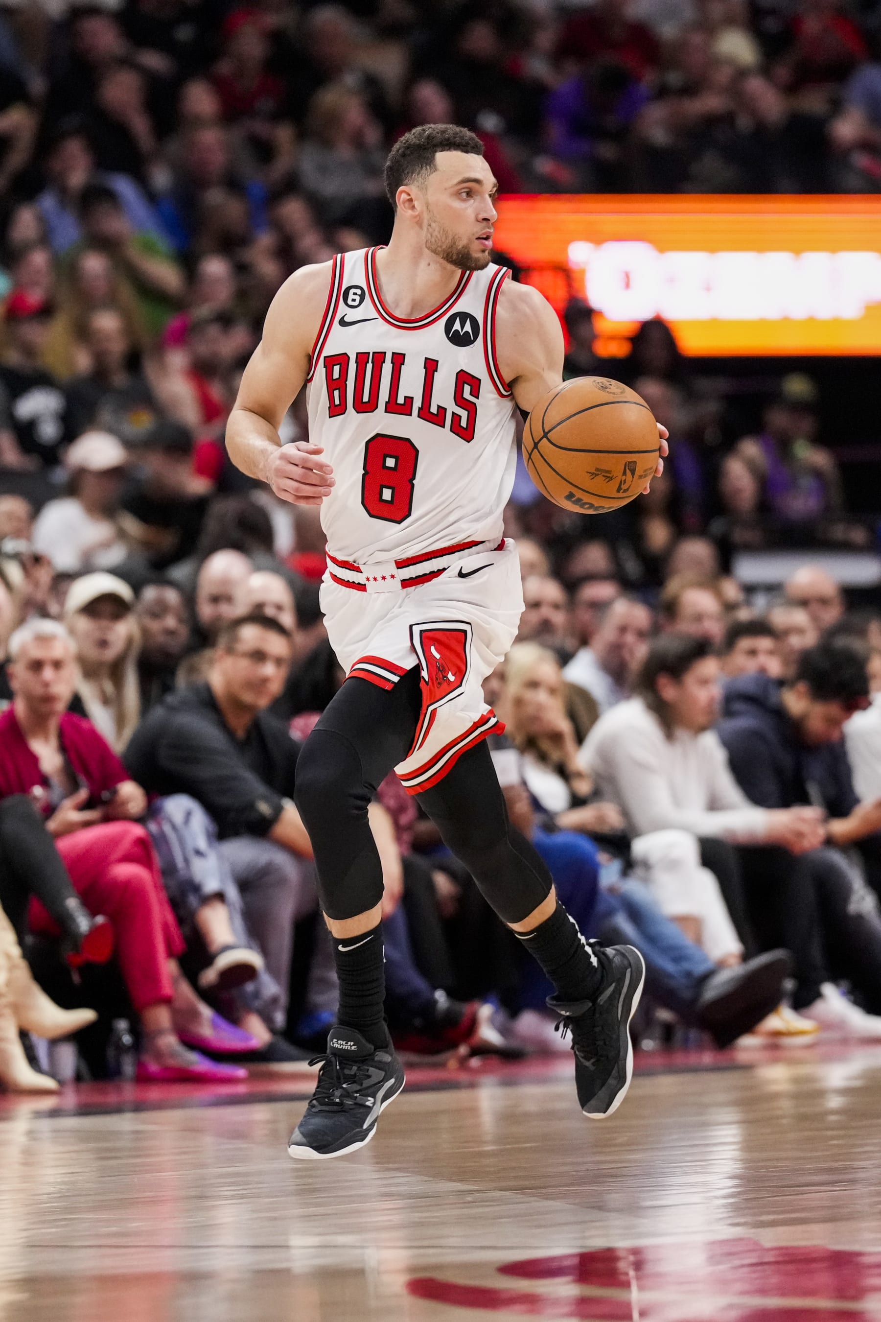 TORONTO, ON - APRIL 12: Zach LaVine #8 of the Chicago Bulls dribbles the ball against the Toronto Raptors during the 2023 Play-In Tournament at the Scotiabank Arena on April 12, 2023 in Toronto, Ontario, Canada. NOTE TO USER: User expressly acknowledges and agrees that, by downloading and/or using this Photograph, user is consenting to the terms and conditions of the Getty Images License Agreement. (Photo by Andrew Lahodynskyj/Getty Images)