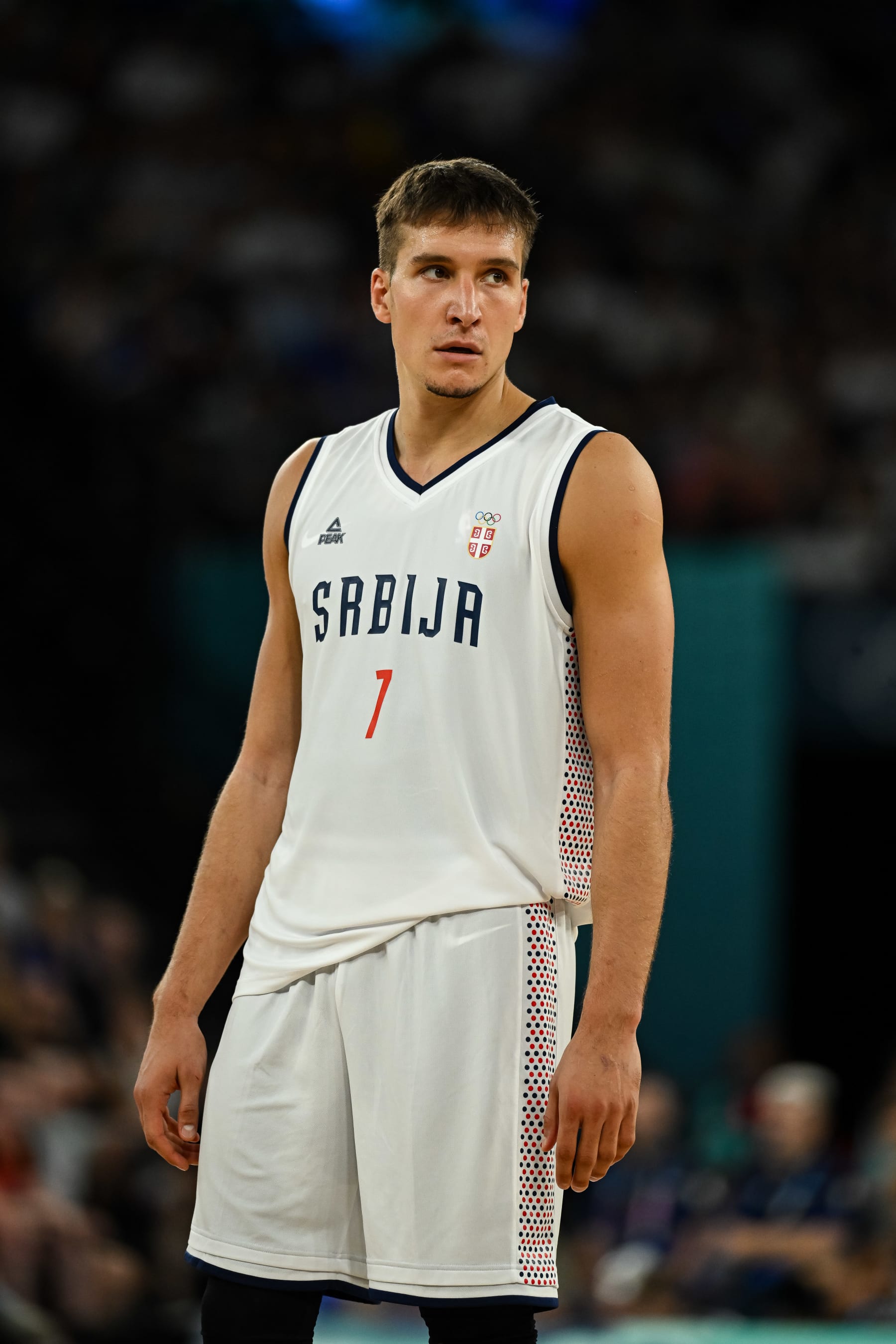 Bogdan BogdanoviÄ