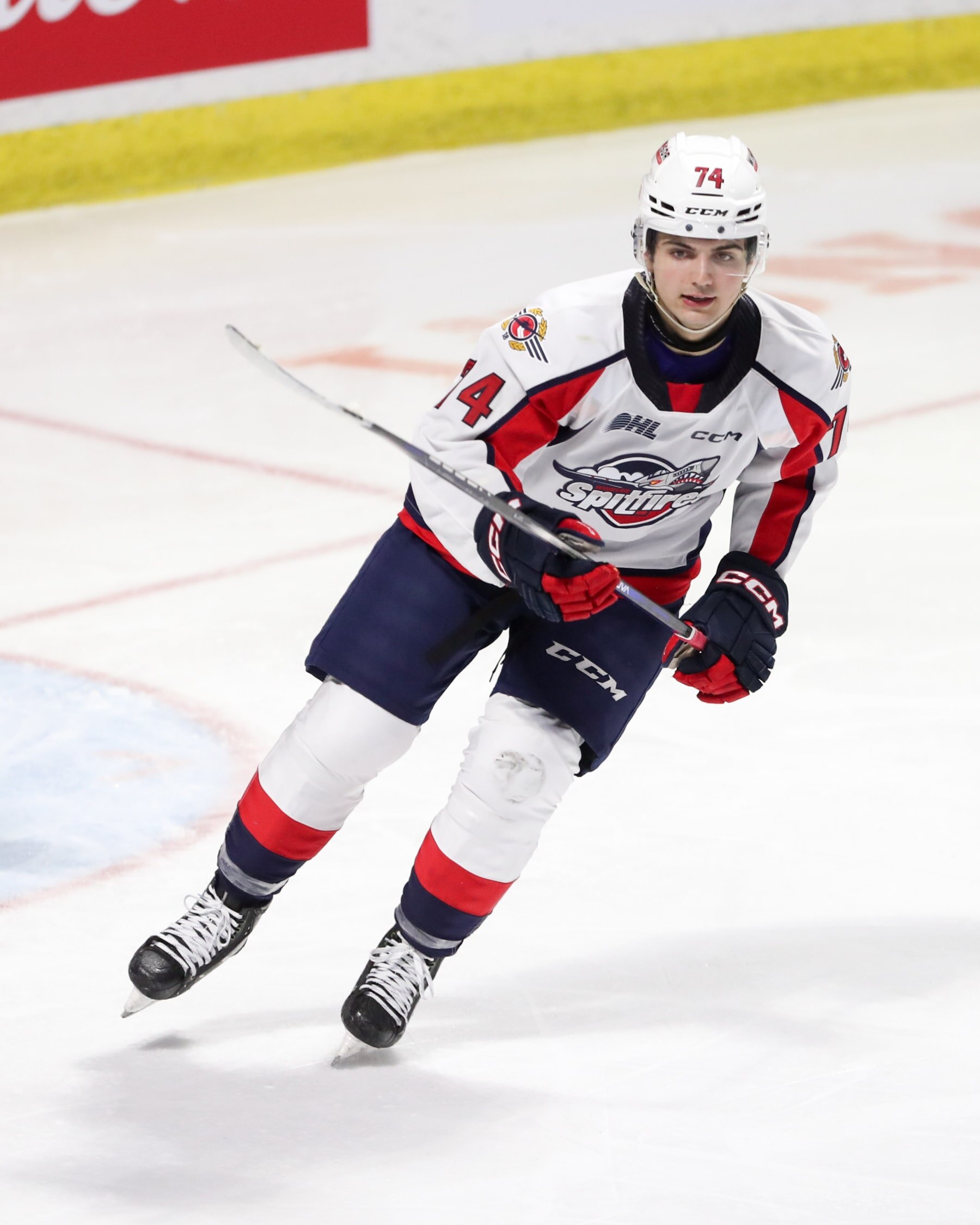 WINDSOR, ONTARIO - SEPTEMBER 30: Defenceman Anthony Cristoforo #74 of the Windsor Spitfires skates against the Guelph Storm at WFCU Centre on September 30, 2023 in Windsor, Ontario. (Photo by Dennis Pajot/Getty Images)