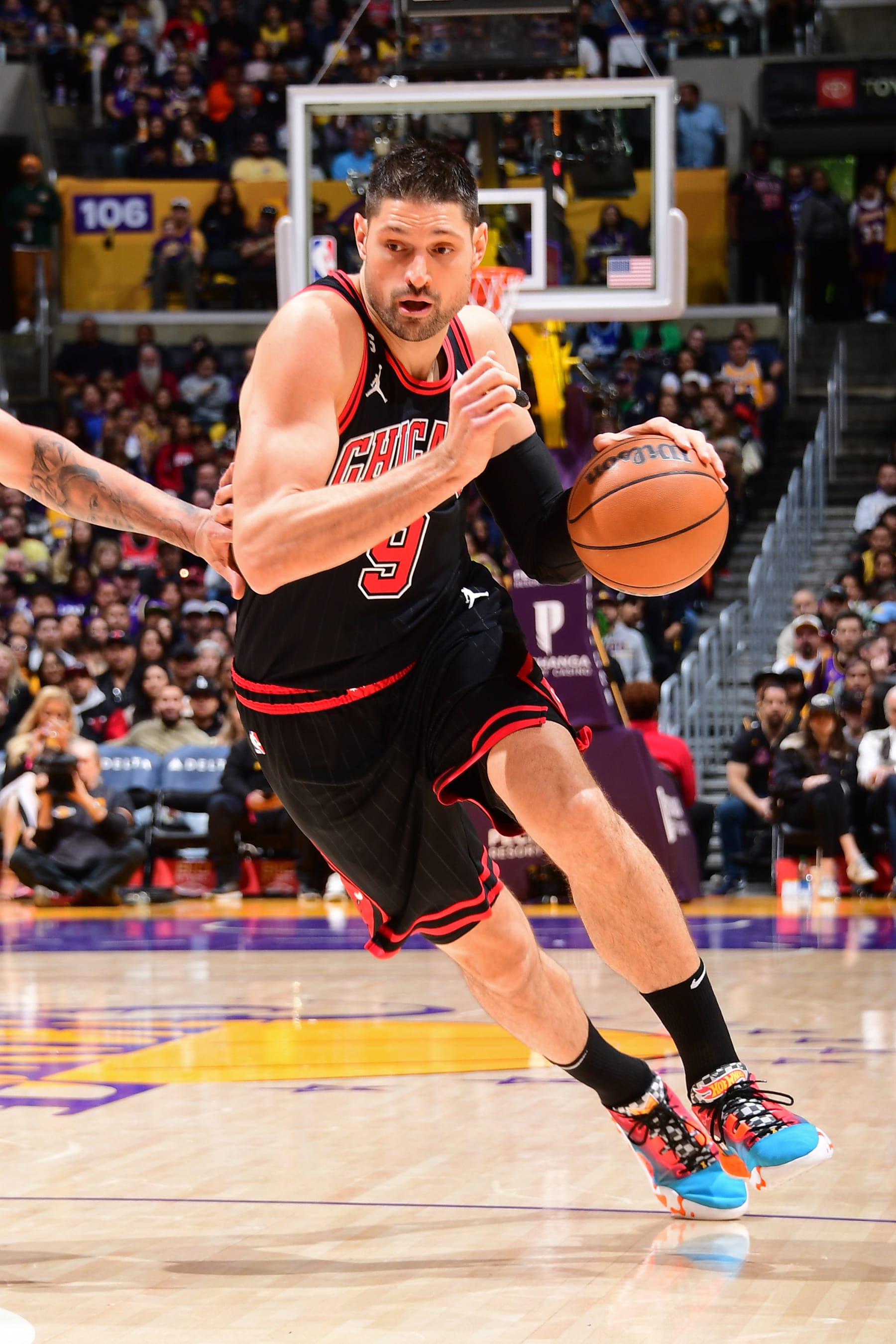 Nikola VuÄeviÄ