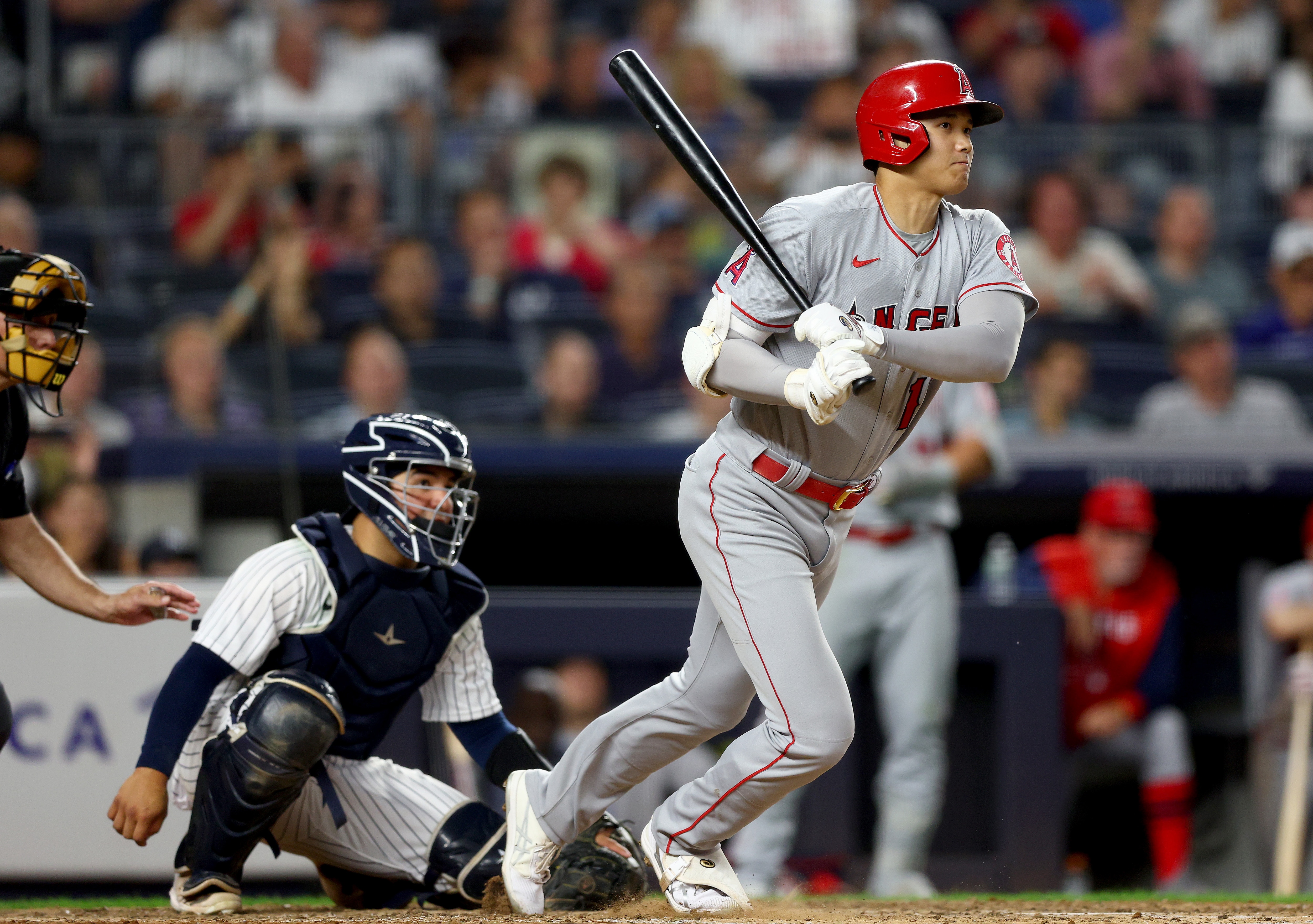 NEW YORK, NEW YORK - MAY 31:  Shohei Ohtani #17 of the Los Angeles Angels watches his double in the sixth inning as Jose Trevino #39 of the New York Yankees defends at Yankee Stadium on May 31, 2022 in the Bronx borough of New York City. (Photo by Elsa/Getty Images)