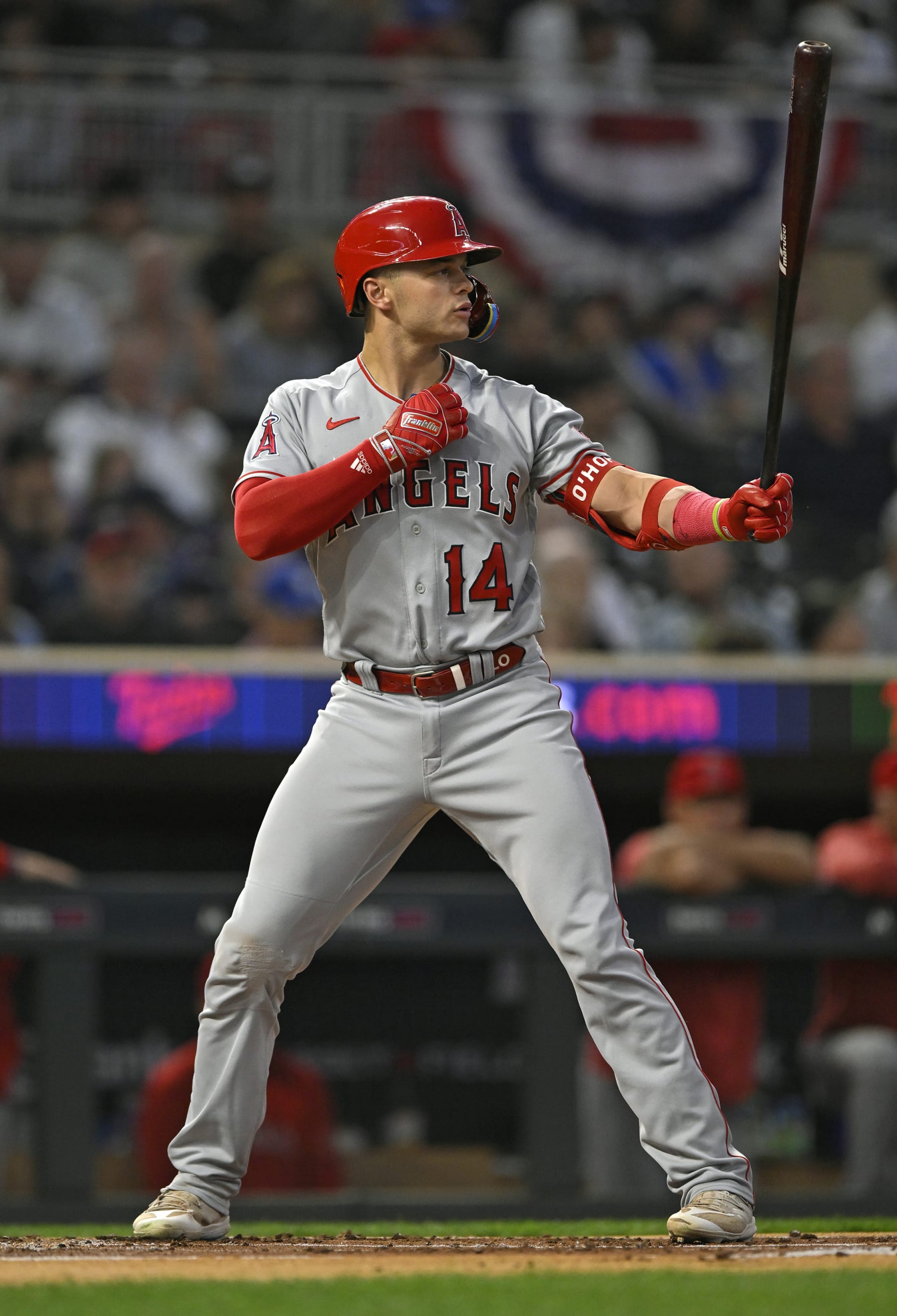 MINNEAPOLIS, MN - SEPTEMBER 22: Los Angeles Angels Catcher Logan O'Hoppe (14) at the plate during a MLB game between the Minnesota Twins and Los Angeles Angels on September 22, 2023, at Target Field in Minneapolis, MN. (Photo by Nick Wosika/Icon Sportswire via Getty Images)