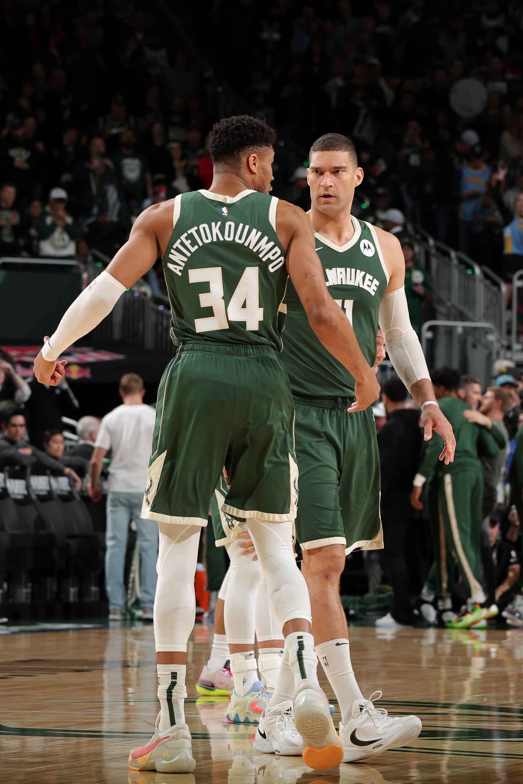 Giannis Antetokounmpo and Brook Lopez