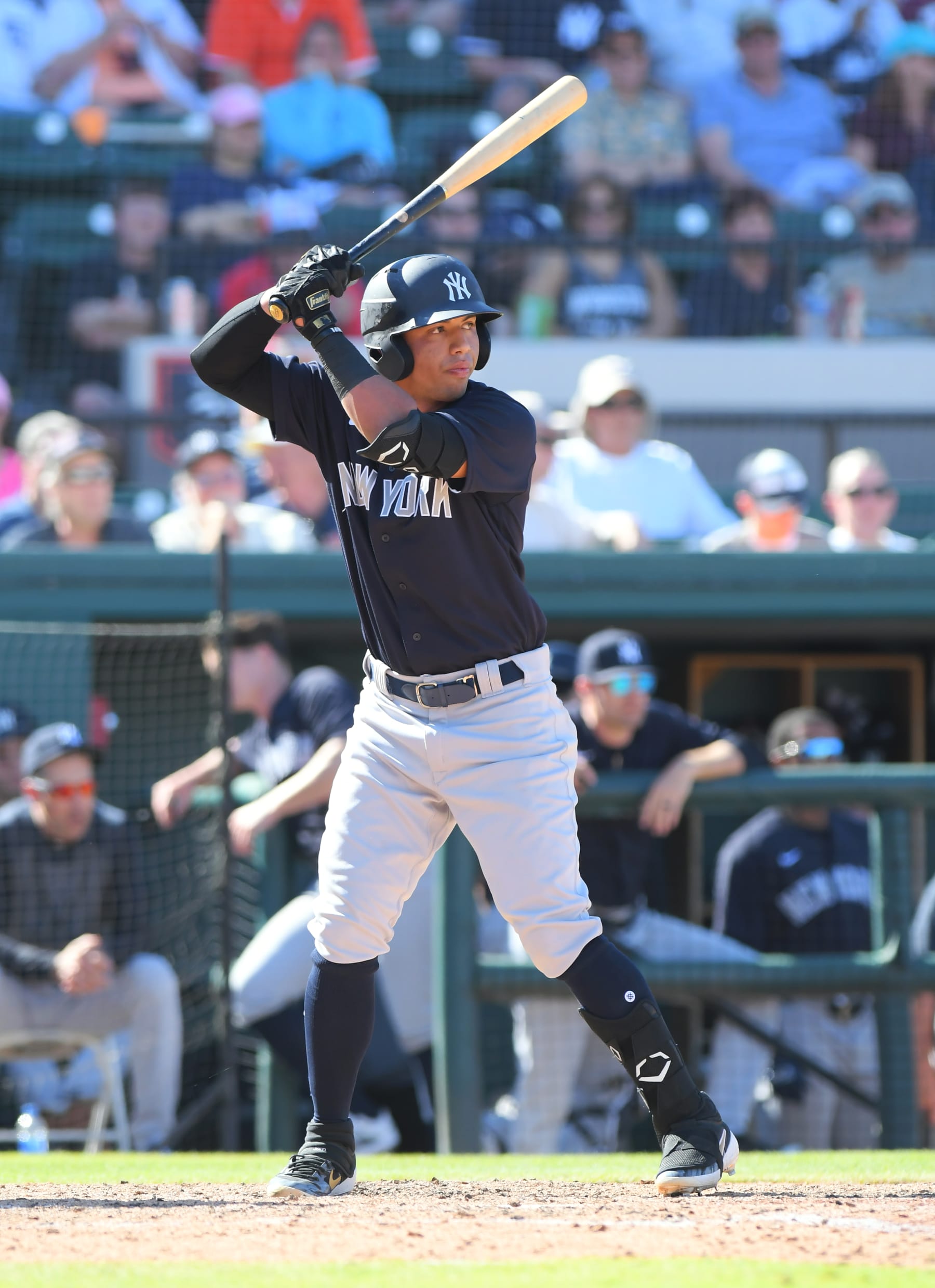 LAKELAND, FL - MARCH 01:  Oswald Peraza #96 of the New York Yankees bats during the Spring Training game against the Detroit Tigers at Publix Field at Joker Marchant Stadium on March 1, 2020 in Lakeland, Florida. The Tigers defeated the Yankees 10-4.  (Photo by Mark Cunningham/MLB Photos via Getty Images)