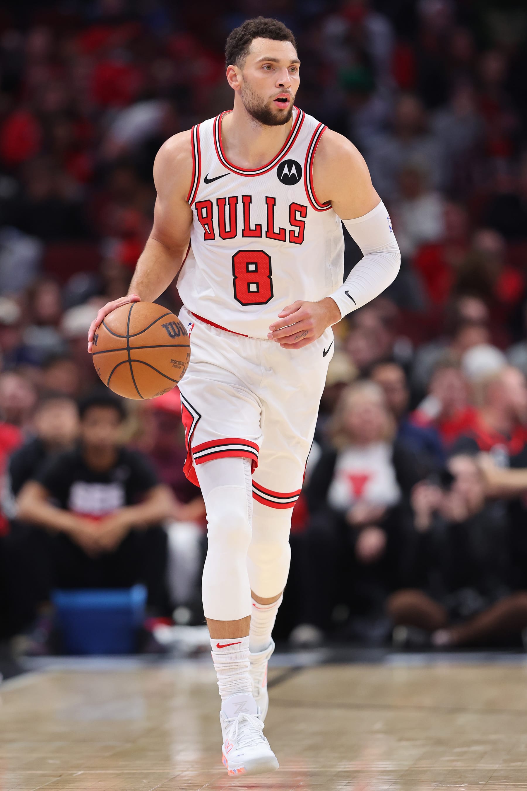 CHICAGO, ILLINOIS - NOVEMBER 06: Zach LaVine #8 of the Chicago Bulls dribbles up the court against the Utah Jazz during the first half at the United Center on November 06, 2023 in Chicago, Illinois. NOTE TO USER: User expressly acknowledges and agrees that, by downloading and or using this photograph, User is consenting to the terms and conditions of the Getty Images License Agreement. (Photo by Michael Reaves/Getty Images)