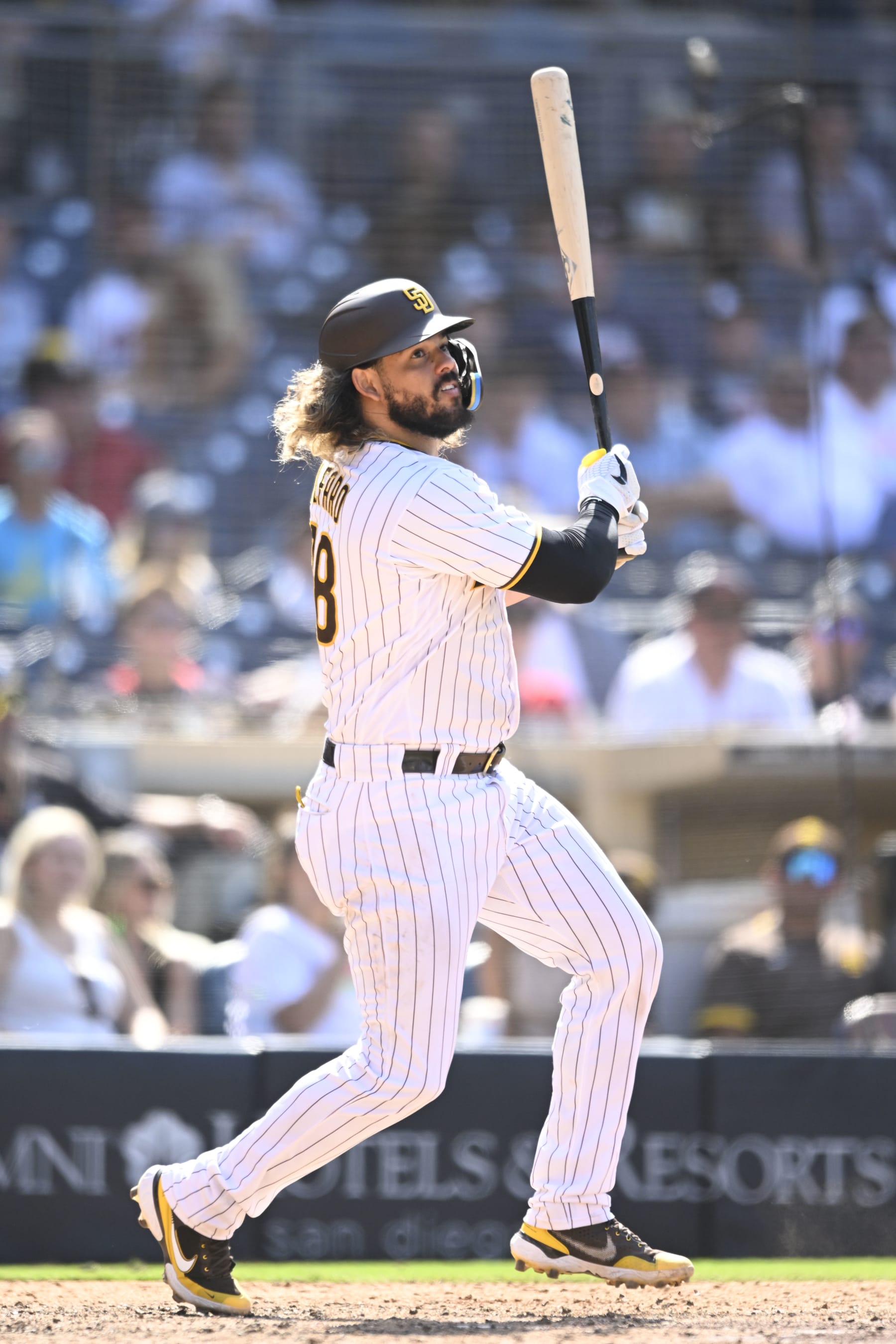 SAN DIEGO, CA - AUGUST 24:  Jorge Alfaro #38 of the San Diego Padres plays during a baseball game against the Cleveland Guardians August 24, 2022 at Petco Park in San Diego, California. (Photo by Denis Poroy/Getty Images)