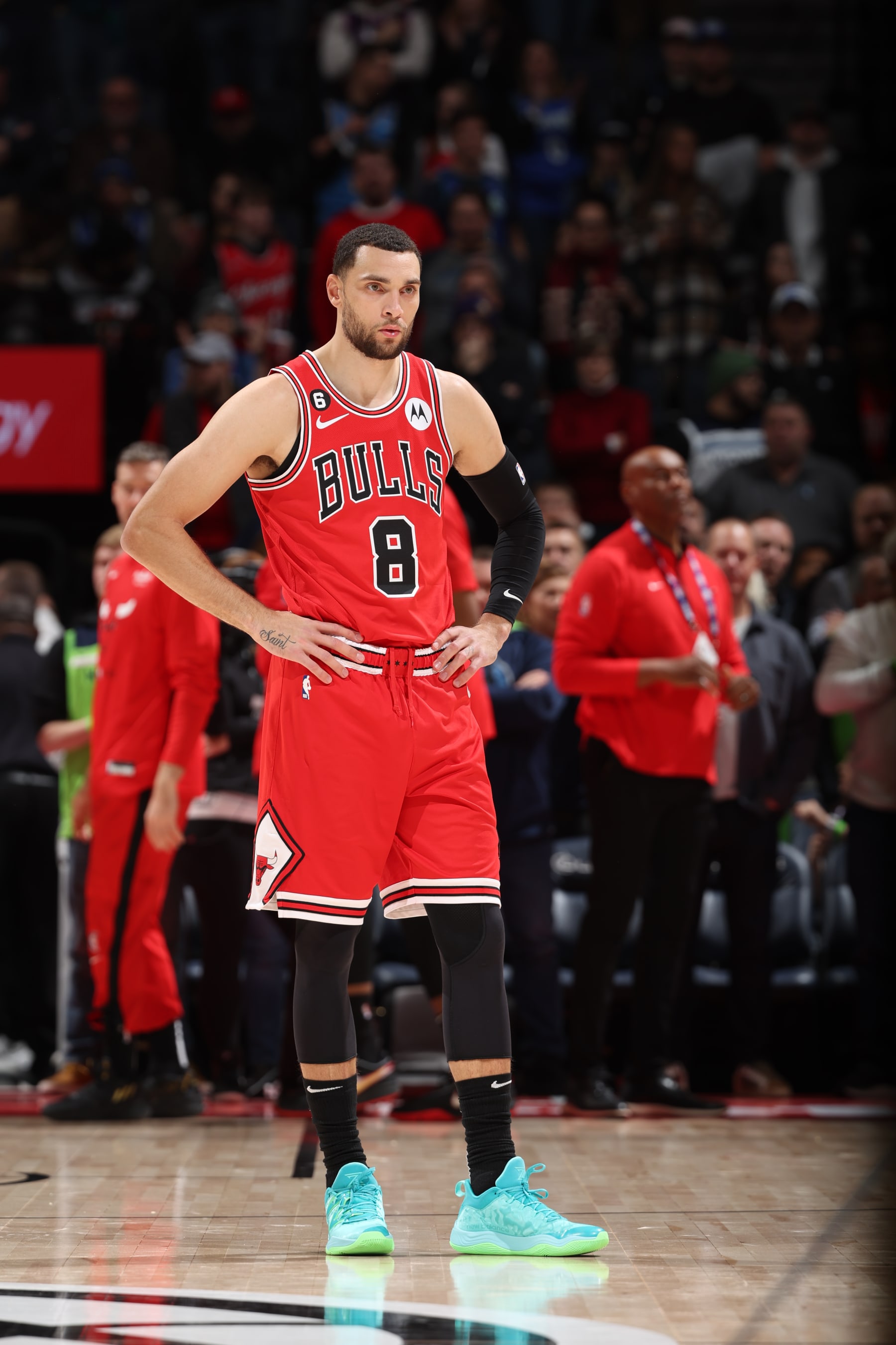MINNEAPOLIS, MN -  DECEMBER 18: Zach LaVine #8 of the Chicago Bulls stands on the court before the game against the Minnesota Timberwolves on December 18, 2022 at Target Center in Minneapolis, Minnesota. NOTE TO USER: User expressly acknowledges and agrees that, by downloading and or using this Photograph, user is consenting to the terms and conditions of the Getty Images License Agreement. Mandatory Copyright Notice: Copyright 2022 NBAE (Photo by David Sherman/NBAE via Getty Images)