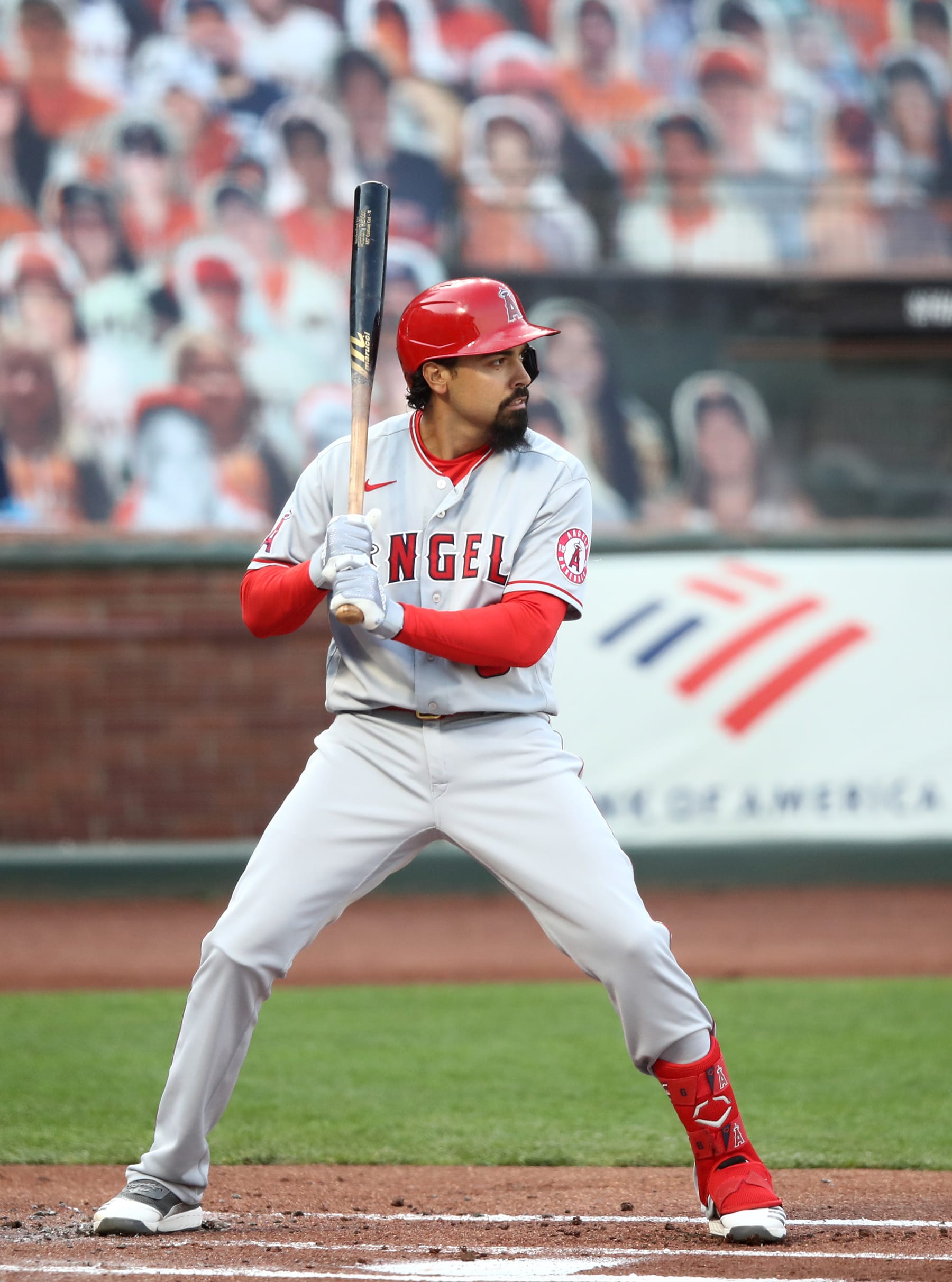 Anthony Rendon