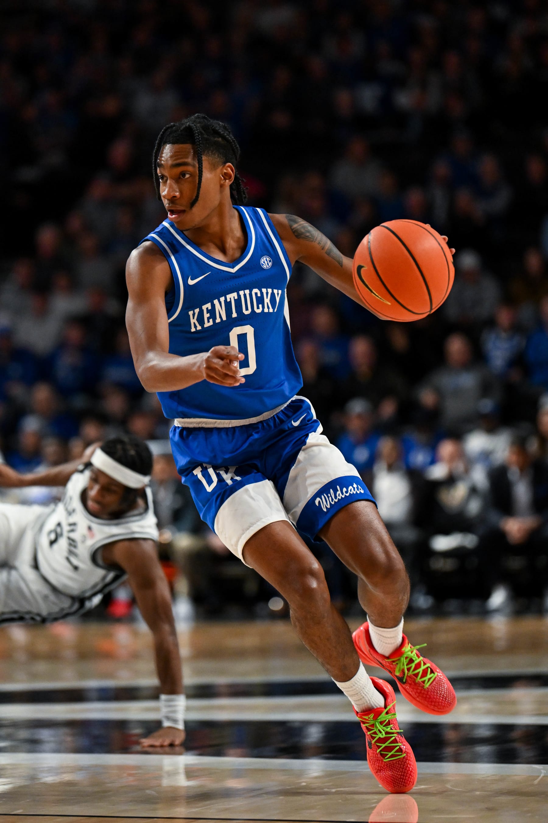 Rob Dillingham, Kentucky