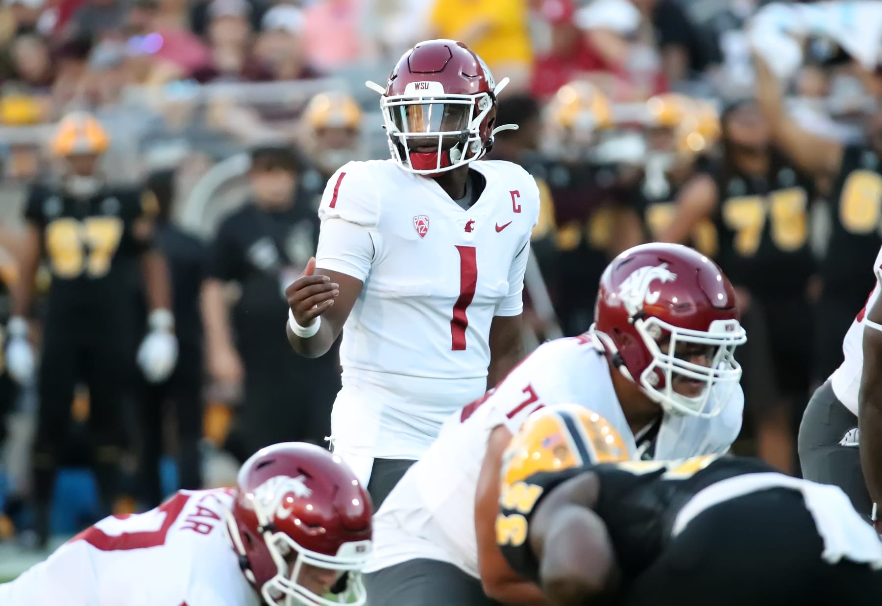 TEMPE, ARIZONA - OCTOBER 28: Cameron Ward #1 of the Washington State Cougars looks to the sideline for a playcall in the first quarter against the Arizona State Sun Devils at Mountain America Stadium on October 28, 2023 in Tempe, Arizona. (Photo by Bruce Yeung/Getty Images)