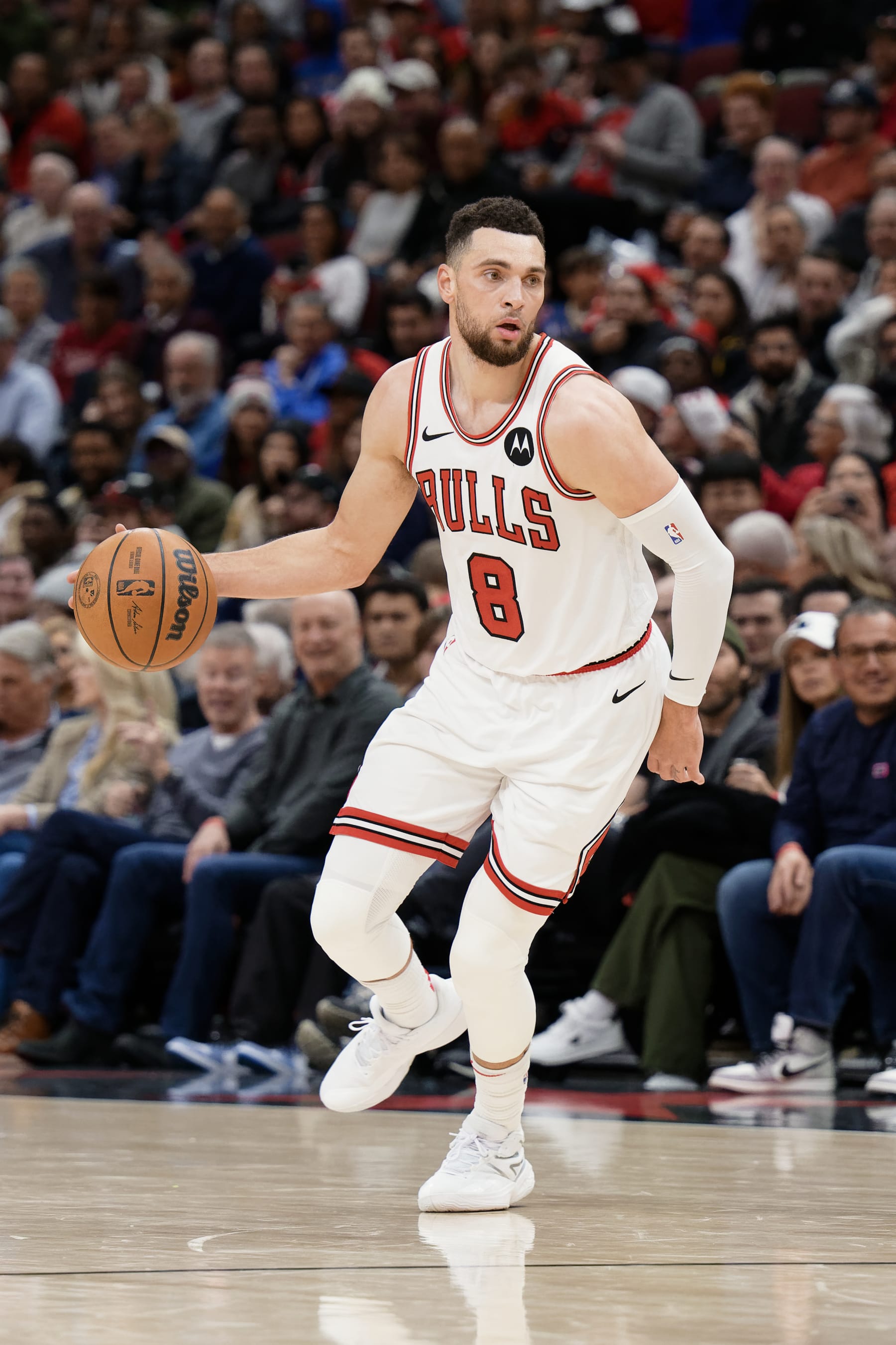CHICAGO, ILLINOIS - JANUARY 12:  Zach Lavine #8 of the Chicago Bulls controls the ball against the Golden State Warriors on January 12, 2024 at United Center in Chicago, Illinois.   NOTE TO USER: User expressly acknowledges and agrees that, by downloading and or using this photograph, User is consenting to the terms and conditions of the Getty Images License Agreement.  (Photo by Jamie Sabau/Getty Images)