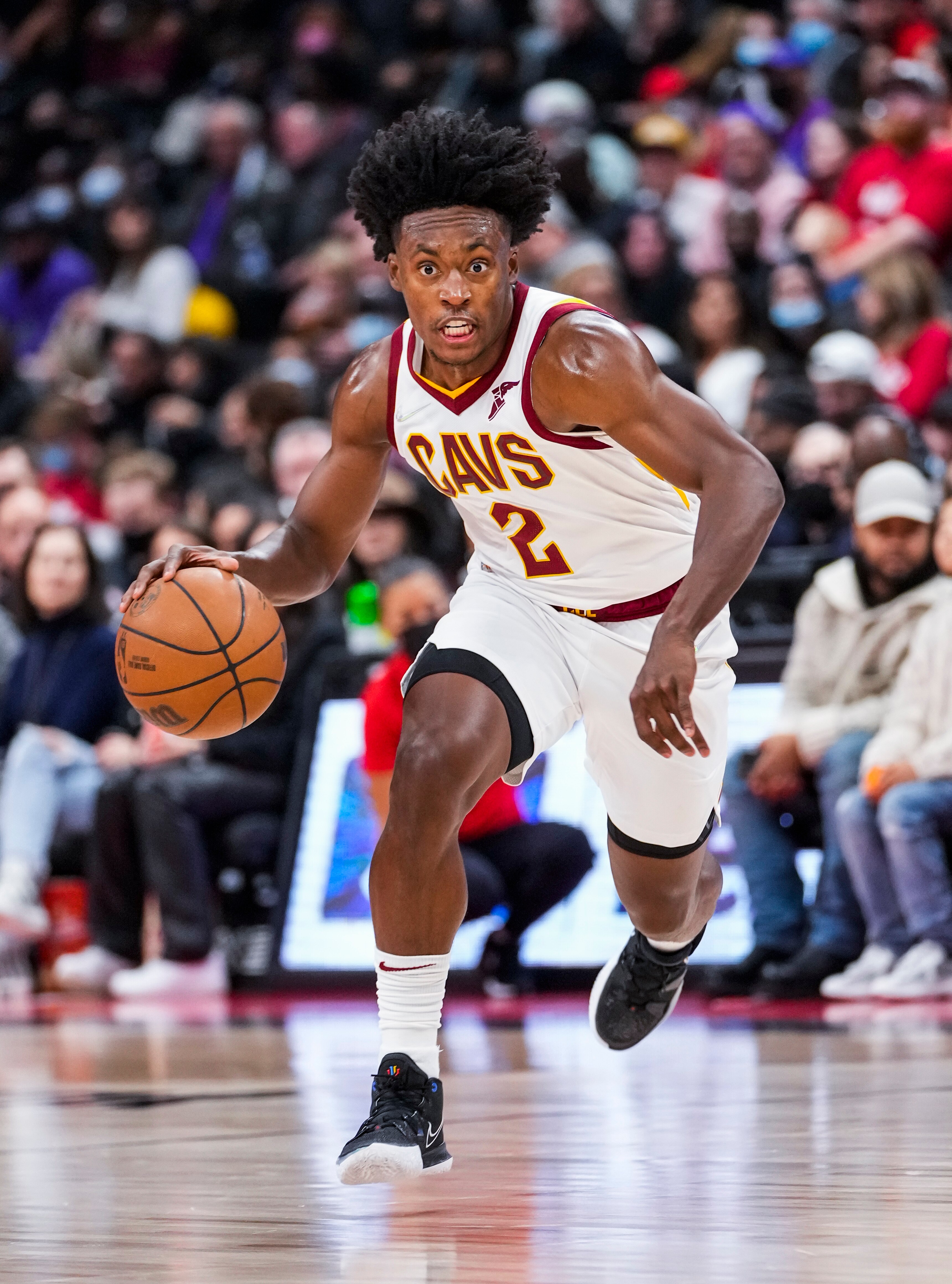 TORONTO, ON - NOVEMBER 5: Collin Sexton #2 of the Cleveland Cavaliers dribbles against the Toronto Raptors during the first half of their basketball game at the Scotiabank Arena on November 5, 2021 in Toronto, Ontario, Canada. NOTE TO USER: User expressly acknowledges and agrees that, by downloading and/or using this Photograph, NOTE TO USER: User  is consenting to the terms and conditions of the Getty Images License Agreement. (Photo by Mark Blinch/Getty Images)