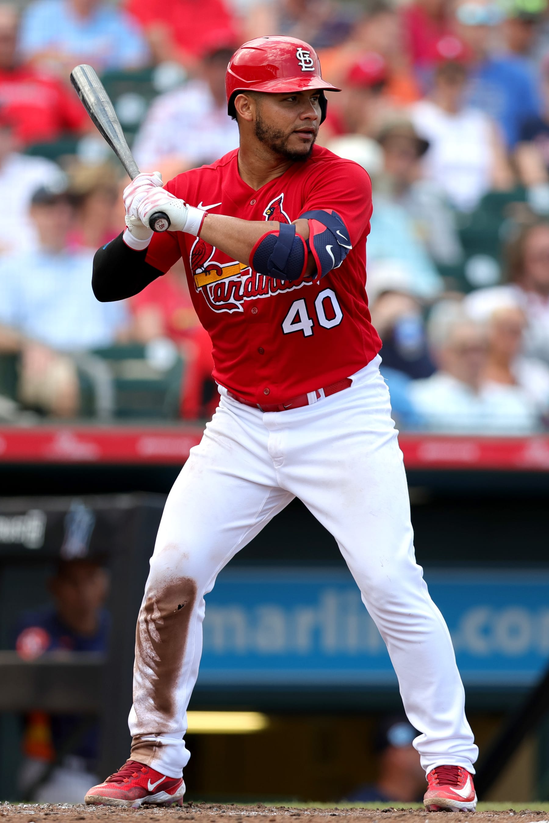 Willson Contreras
