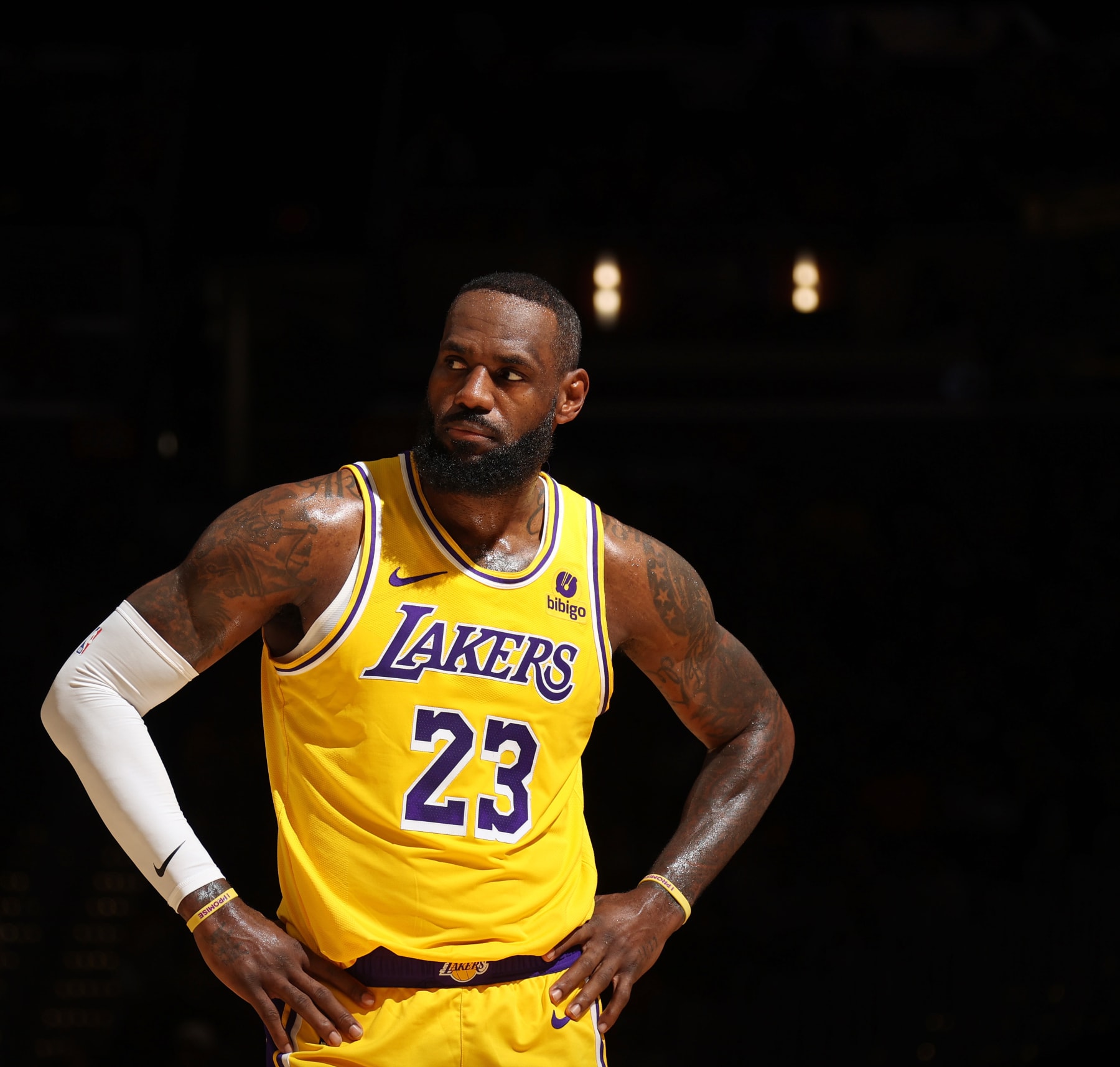 lebron james lakers 23
