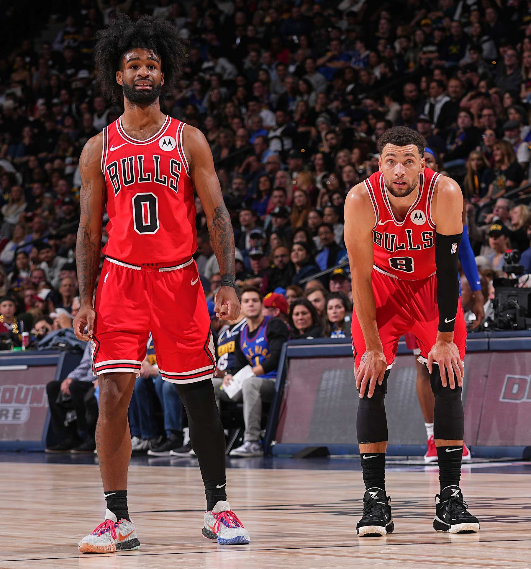 DENVER, CO - NOVEMBER 4: Coby White #0 and Zach LaVine #8 of the Chicago Bulls look on during the game against the Denver Nuggets on November 4, 2023 at the Ball Arena in Denver, Colorado. NOTE TO USER: User expressly acknowledges and agrees that, by downloading and/or using this Photograph, user is consenting to the terms and conditions of the Getty Images License Agreement. Mandatory Copyright Notice: Copyright 2023 NBAE (Photo by Bart Young/NBAE via Getty Images)