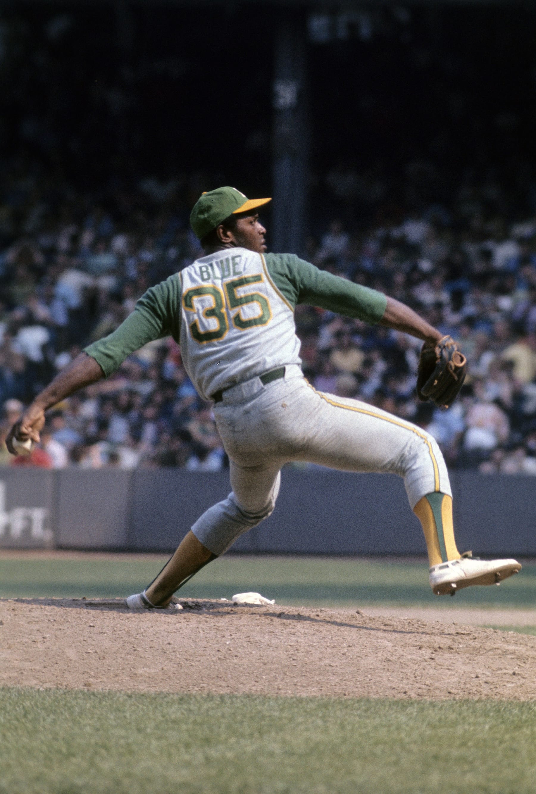 Vida Blue