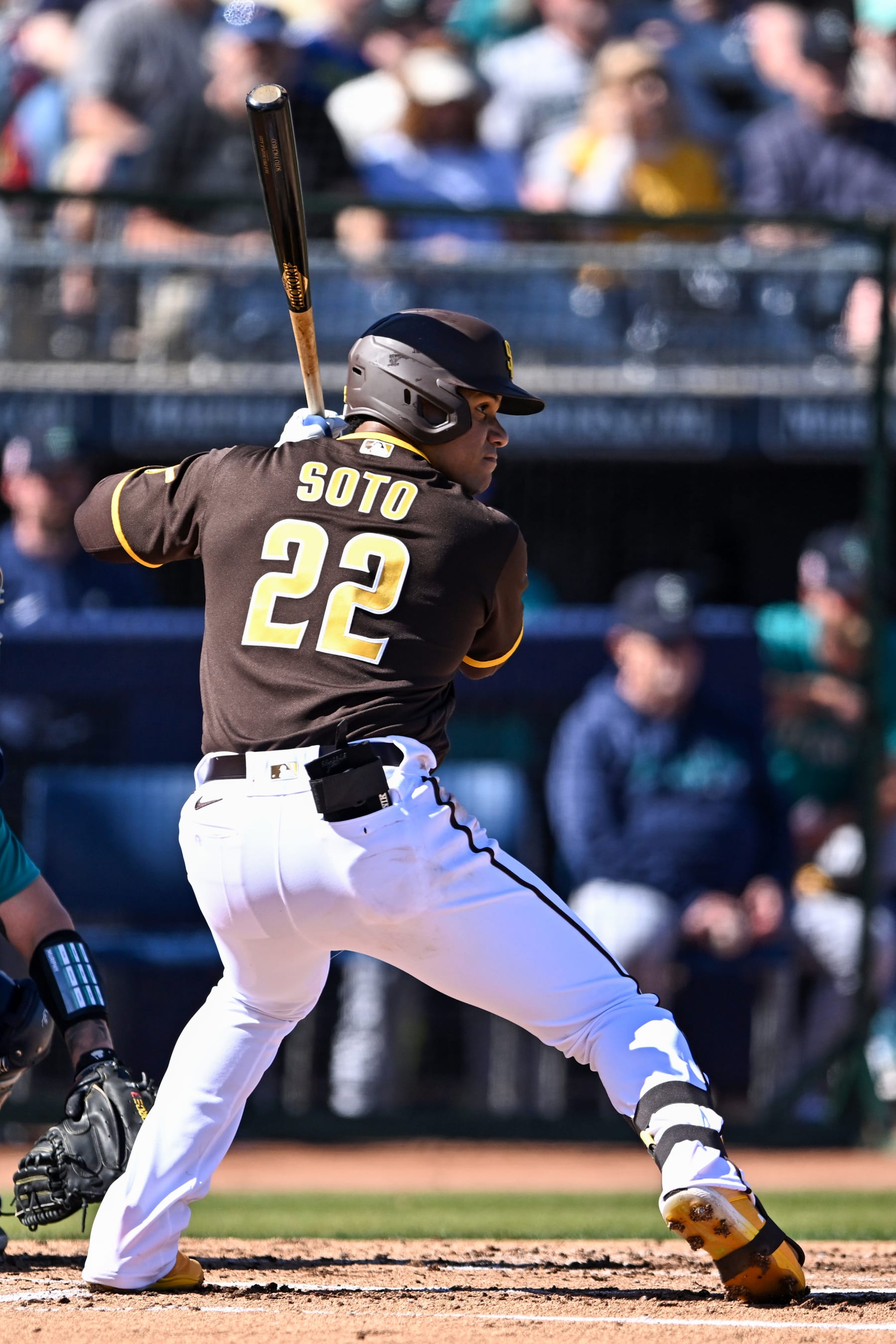 PEORIA, ARIZONA - FEBRUARY 24, 2023: Juan Soto #22 of the San Diego Padres bats during the first inning of a spring training game against the Seattle Mariners at Peoria Stadium on February 24, 2023 in Peoria, Arizona. (Photo by Chris Bernacchi/Diamond Images via Getty Images)