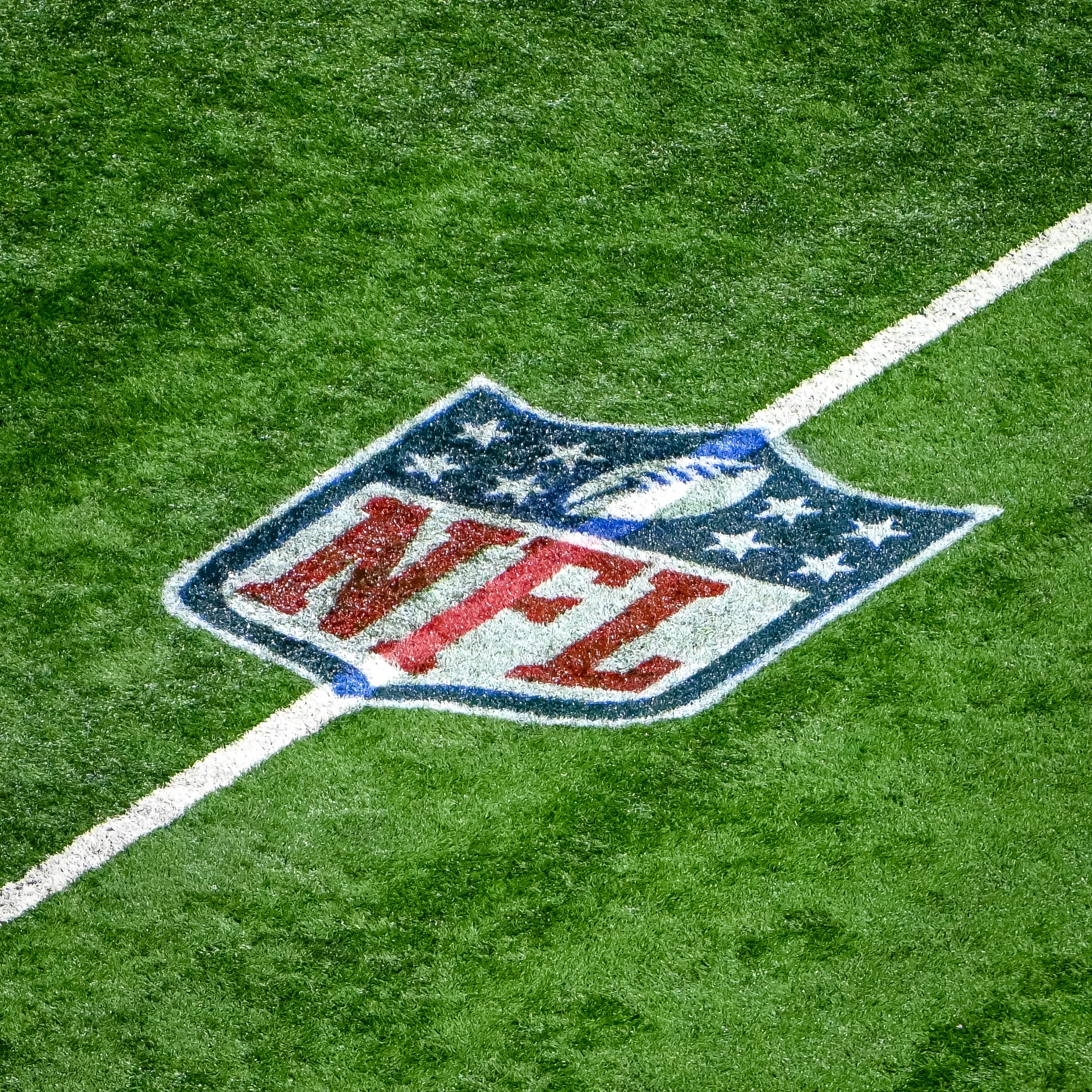 DETROIT, MICHIGAN - DECEMBER 05: The NFL logo is pictured ahead of the game between the Detroit Lions and Minnesota Vikings at Ford Field on December 05, 2021 in Detroit, Michigan. (Photo by Nic Antaya/Getty Images)