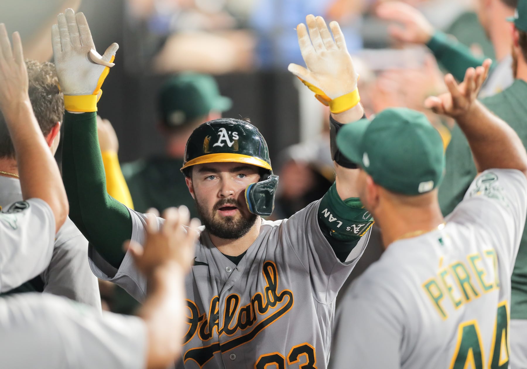 CHICAGO, IL - AUGUST 24: Oakland Athletics catcher Shea Langeliers (23) is greeted in the dugout after hitting a home run during a Major League Baseball game between the Oakland Athletics and the Chicago White Sox on August 24, 2023 at Guaranteed Rate Field in Chicago, IL. (Photo by Melissa Tamez/Icon Sportswire via Getty Images)