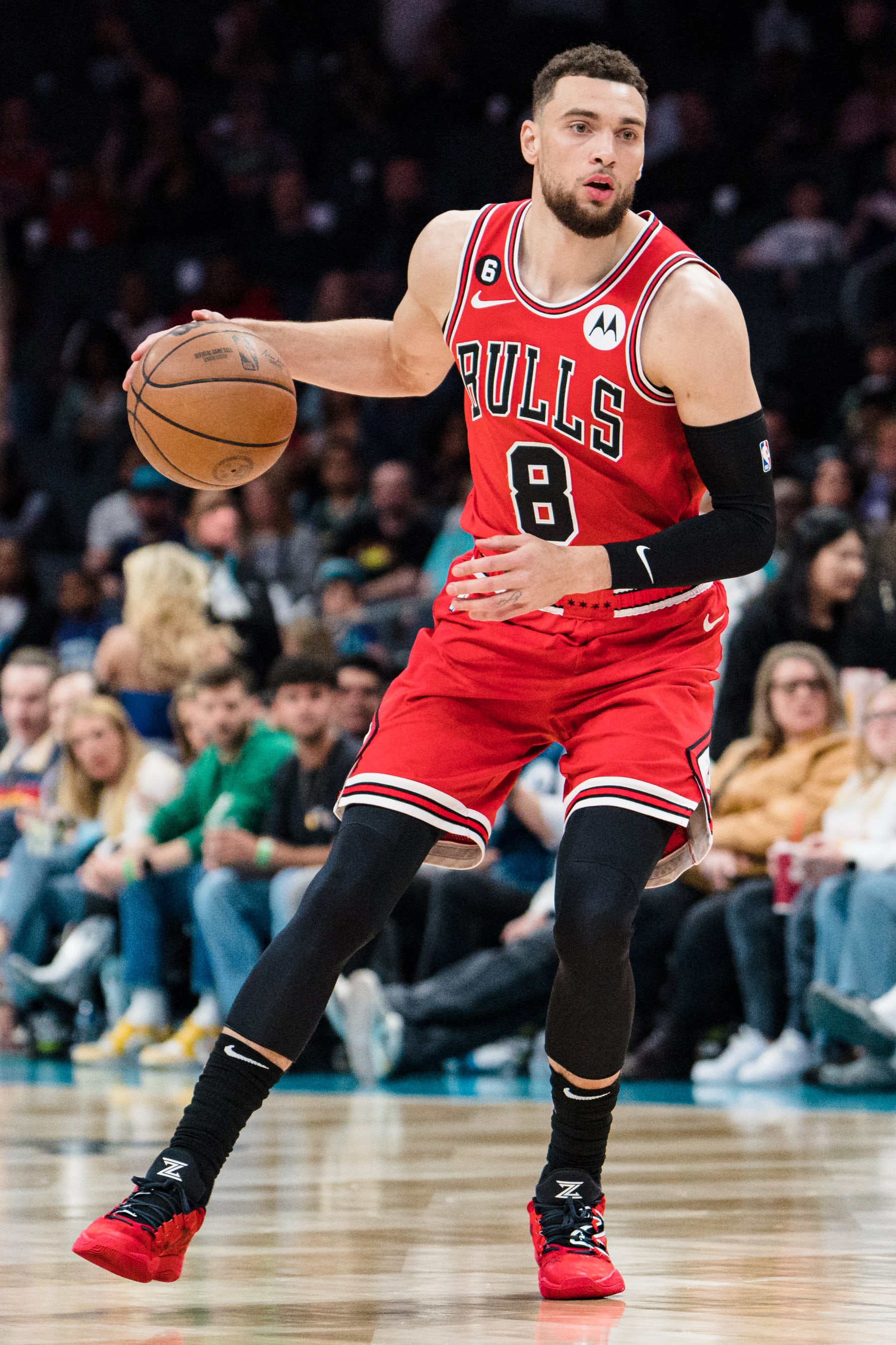 CHARLOTTE, NORTH CAROLINA - MARCH 31: Zach LaVine #8 of the Chicago Bulls brings the ball up court against the Charlotte Hornets during their game at Spectrum Center on March 31, 2023 in Charlotte, North Carolina. NOTE TO USER: User expressly acknowledges and agrees that, by downloading and or using this photograph, User is consenting to the terms and conditions of the Getty Images License Agreement. (Photo by Jacob Kupferman/Getty Images)