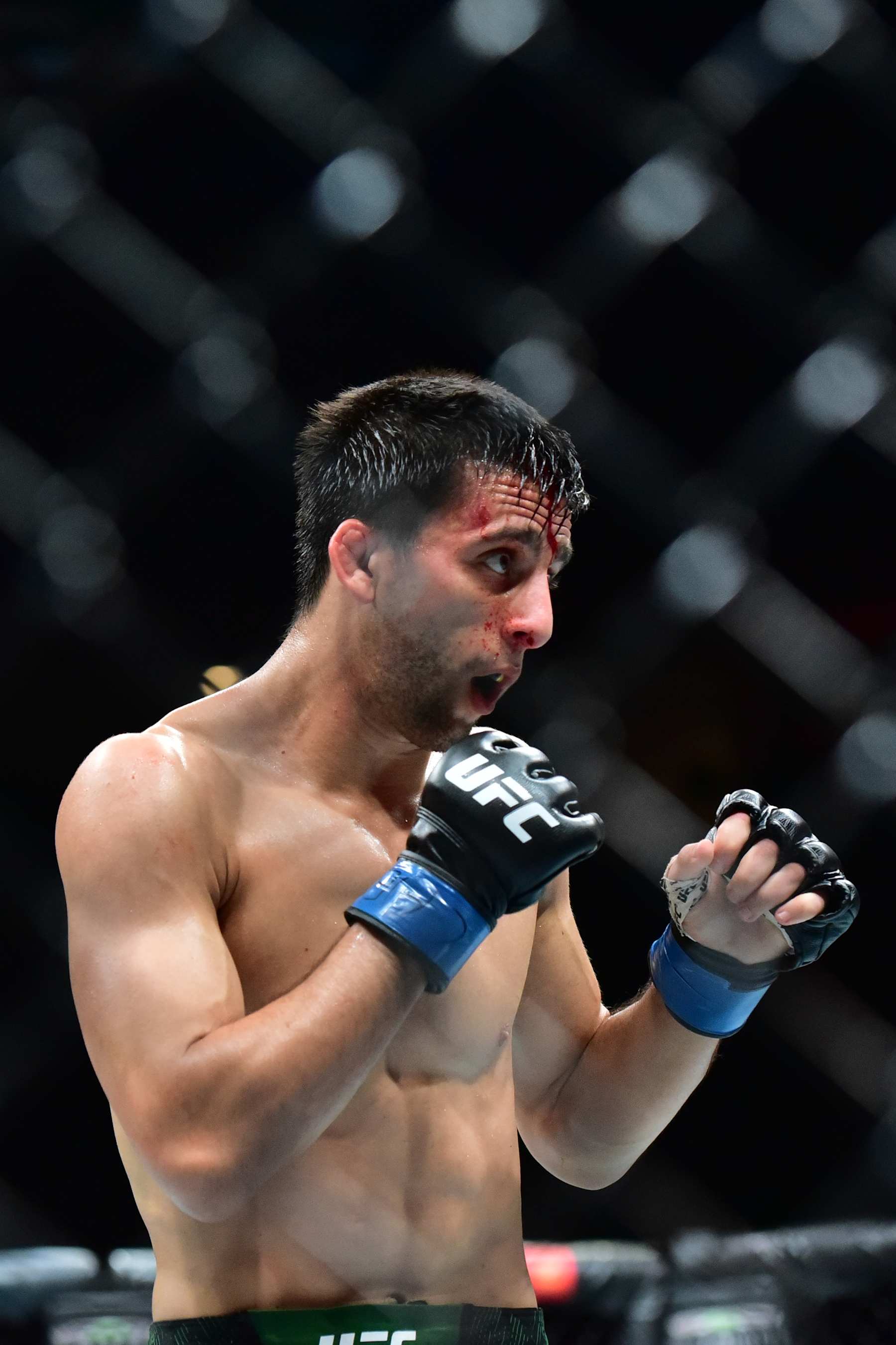 Steve Erceg looks on during his flyweight title fight with champion Alexandre Pantoja