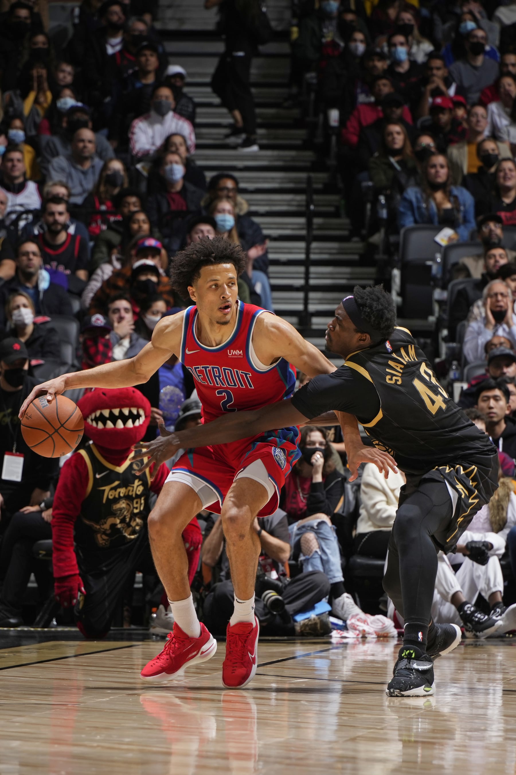 TORONTO, CANADA - NOVEMBER 13: Pascal Siakam #43 of the Toronto Raptors plays defense on Cade Cunningham #2 of the Detroit Pistons on November 13, 2021 at the Scotiabank Arena in Toronto, Ontario, Canada.  NOTE TO USER: User expressly acknowledges and agrees that, by downloading and or using this Photograph, user is consenting to the terms and conditions of the Getty Images License Agreement.  Mandatory Copyright Notice: Copyright 2021 NBAE (Photo by Mark Blinch/NBAE via Getty Images)