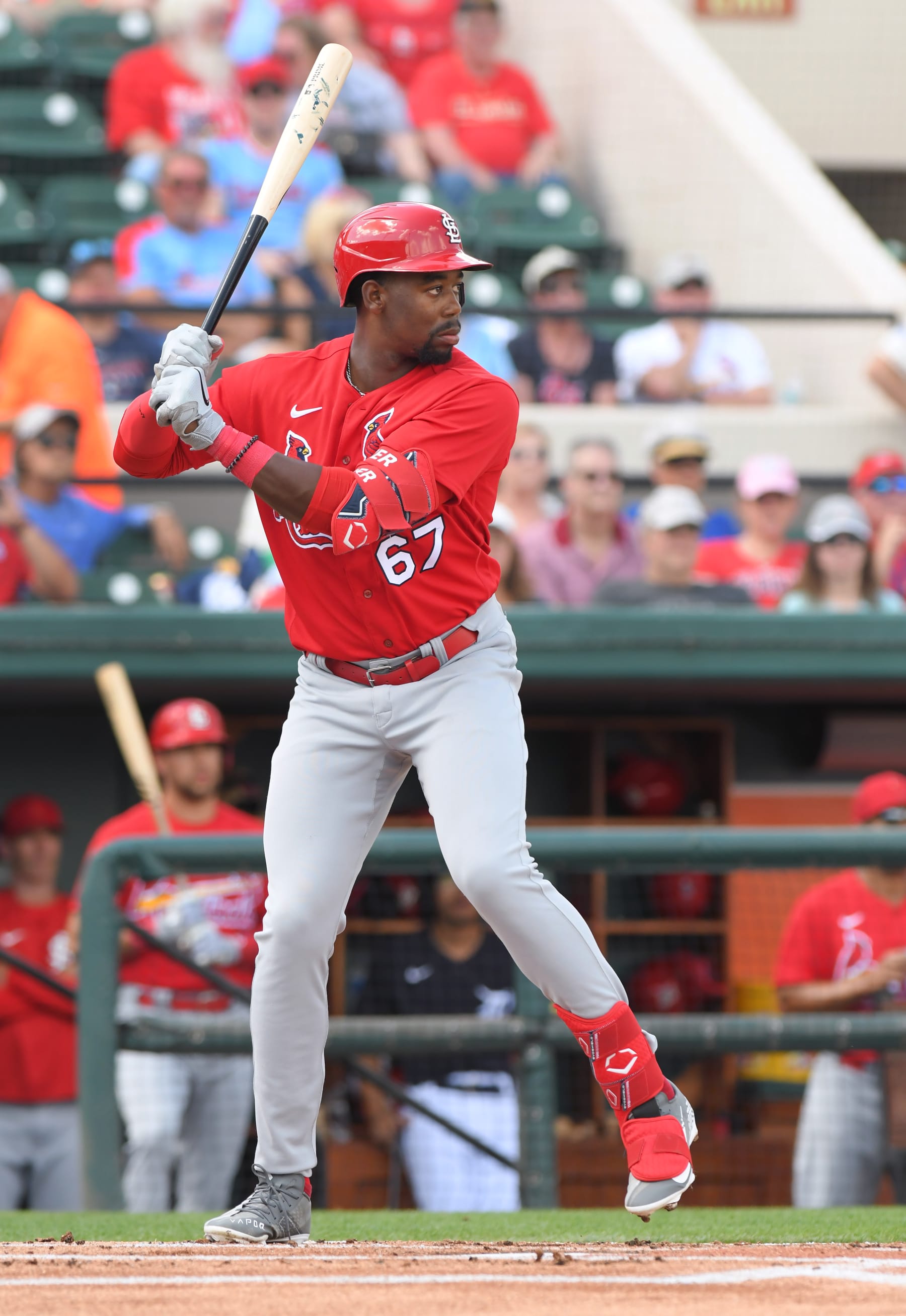 LAKELAND, FL - MARCH 07:  Jordan Walker #67 of the St. Louis Cardinals bats during the Spring Training game against the Detroit Tigers at Publix Field at Joker Marchant Stadium on March 7, 2023 in Lakeland, Florida. The Tigers defeated the Cardinals 16-3.  (Photo by Mark Cunningham/MLB Photos via Getty Images)