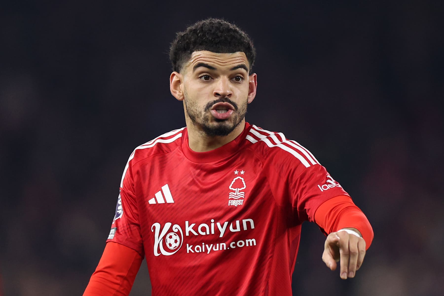 Morgan Gibbs White