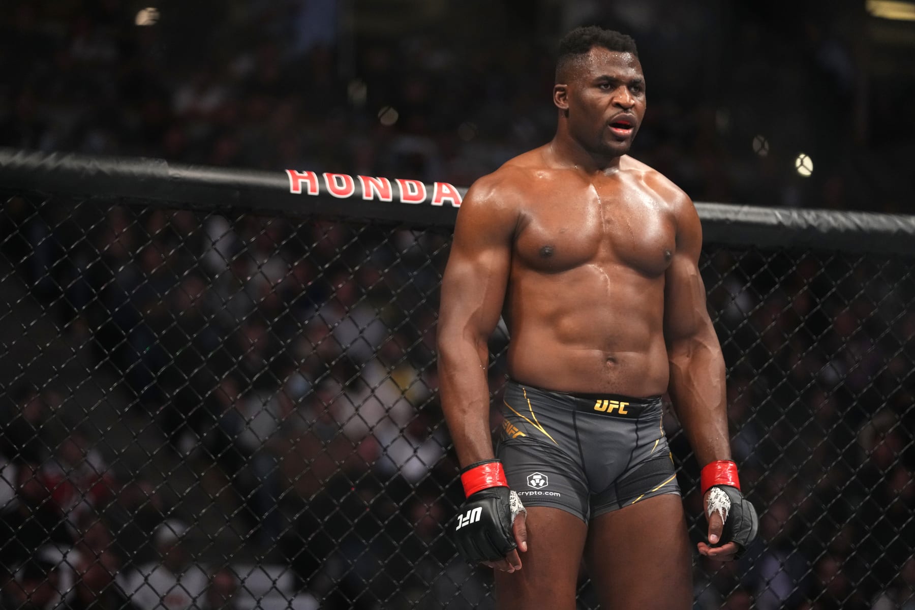 ANAHEIM, CALIFORNIA - JANUARY 22: Francis Ngannou of Cameroon battles Ciryl Gane of France during the UFC 270 event at Honda Center on January 22, 2022 in Anaheim, California. (Photo by Cooper Neill/Zuffa LLC)