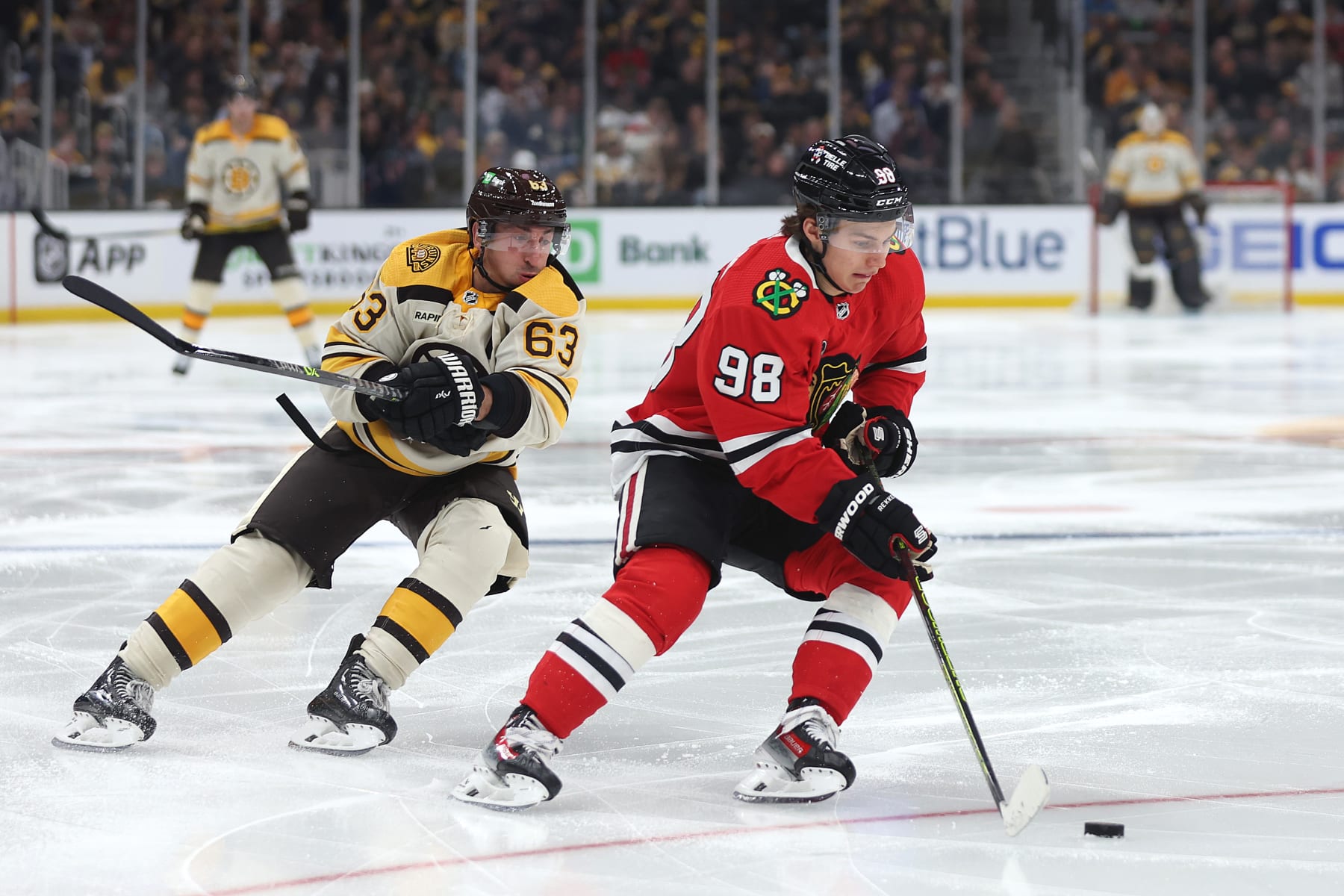 Connor Bedard and Brad Marchand have their teams in the top half of the Updated NHL Fun Rankings.