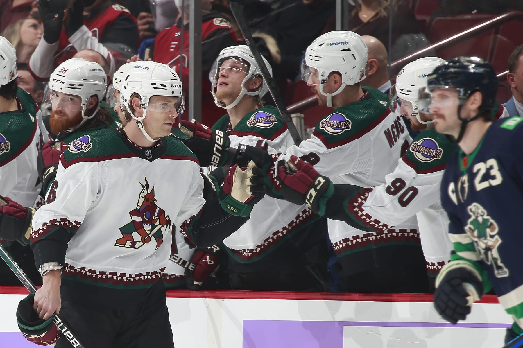 Arizona Coyotes