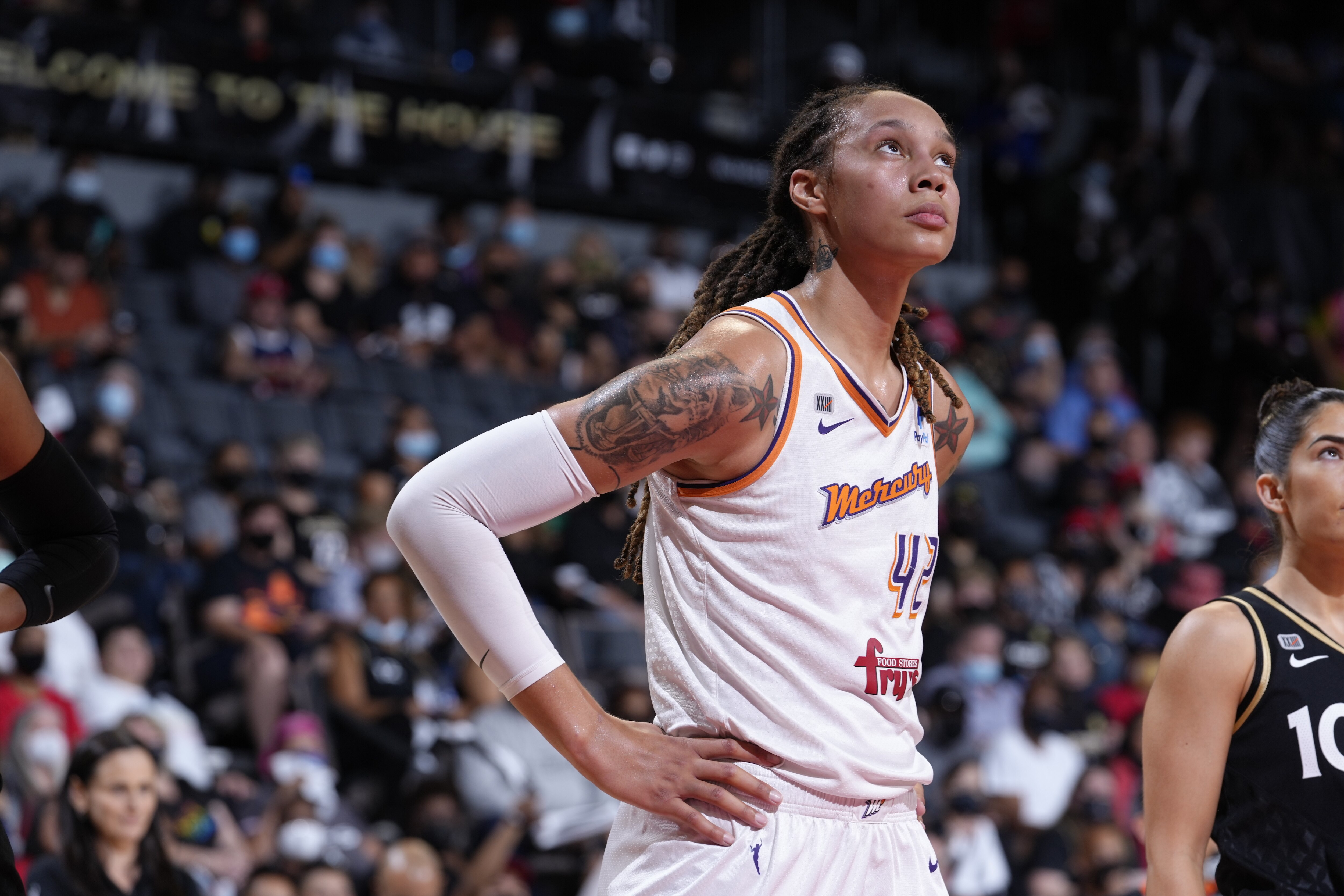 PHOENIX, AZ - OCTOBER 8: Brittney Griner #42 of the Phoenix Mercury looks on during the game against the Las Vegas Aces during Game Five of the 2021 WNBA Semifinals on October 8, 2021 at Footprint Center in Phoenix, Arizona. NOTE TO USER: User expressly acknowledges and agrees that, by downloading and or using this photograph, user is consenting to the terms and conditions of the Getty Images License Agreement. Mandatory Copyright Notice: Copyright 2021 NBAE (Photo by Jeff Bottari/NBAE via Getty Images)