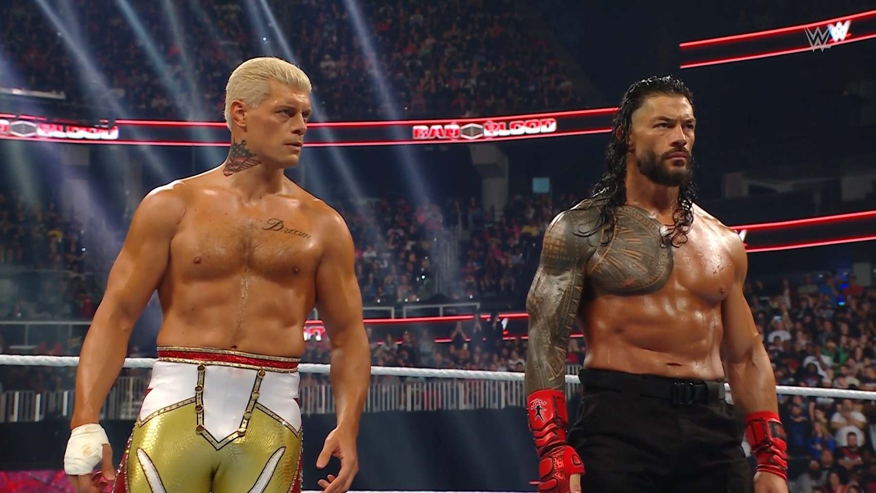 Cody Rhodes and Roman Reigns.