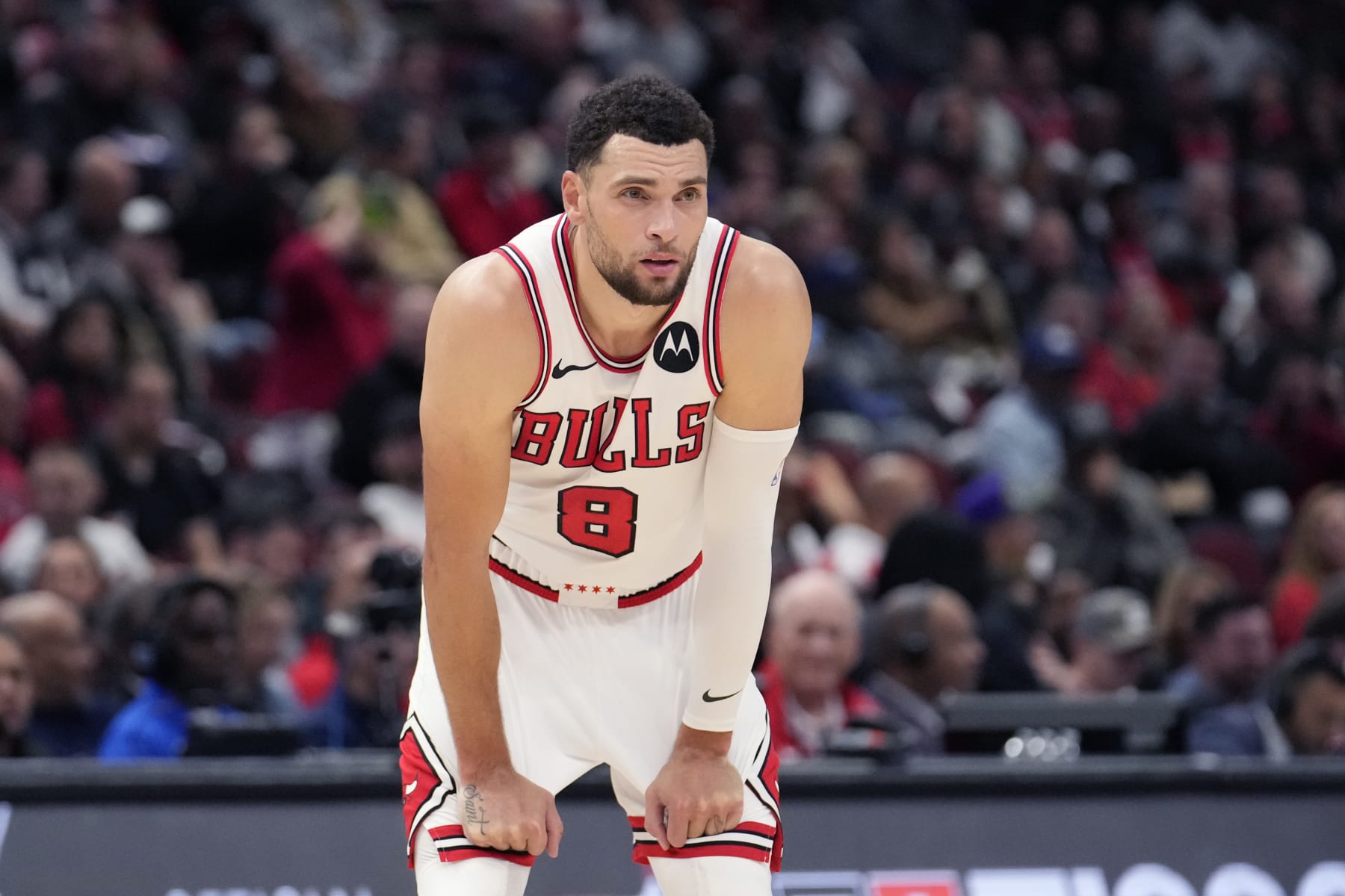Chicago Bulls' Zach LaVine waits for play to resume during an NBA basketball game against the Utah Jazz on Monday, Nov. 6, 2023, in Chicago. (AP Photo/Charles Rex Arbogast)
