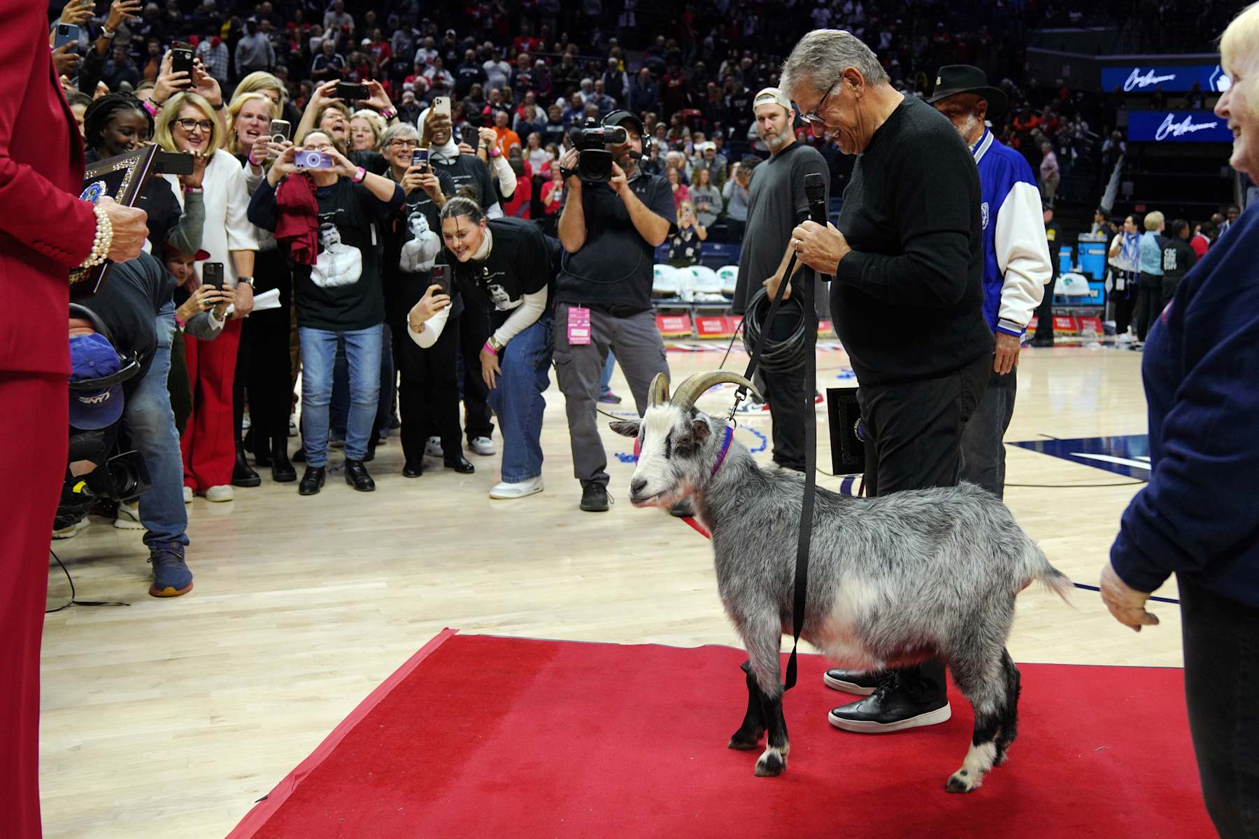 STORRS, CONNECTICUT - NOVEMBER 20: Connecticut Huskies head coach Geno Auriemma is presented with a goat after becoming the NCAA all-time basketball wins leader at the Harry A. Gampel Pavilion on November 20, 2024 in Storrs, Connecticut. (Photo by Joe Buglewicz/Getty Images) STORRS, CONNECTICUT - NOVEMBER 20: Connecticut Huskies head coach Geno Auriemma is presented with a goat after becoming the NCAA all-time basketball wins leader at the Harry A. Gampel Pavilion on November 20, 2024 in Storrs, Connecticut. (Photo by Joe Buglewicz/Getty Images)
