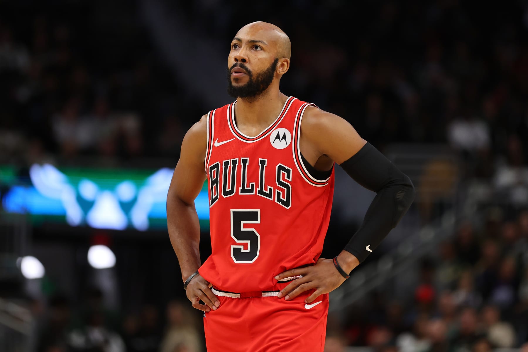 MILWAUKEE, WISCONSIN - OCTOBER 08: Jevon Carter #5 of the Chicago Bulls walks backcourt against the Milwaukee Bucks during a preseason game at Fiserv Forum on October 08, 2023 in Milwaukee, Wisconsin. NOTE TO USER: User expressly acknowledges and agrees that, by downloading and or using this photograph, User is consenting to the terms and conditions of the Getty Images License Agreement. (Photo by Stacy Revere/Getty Images)
