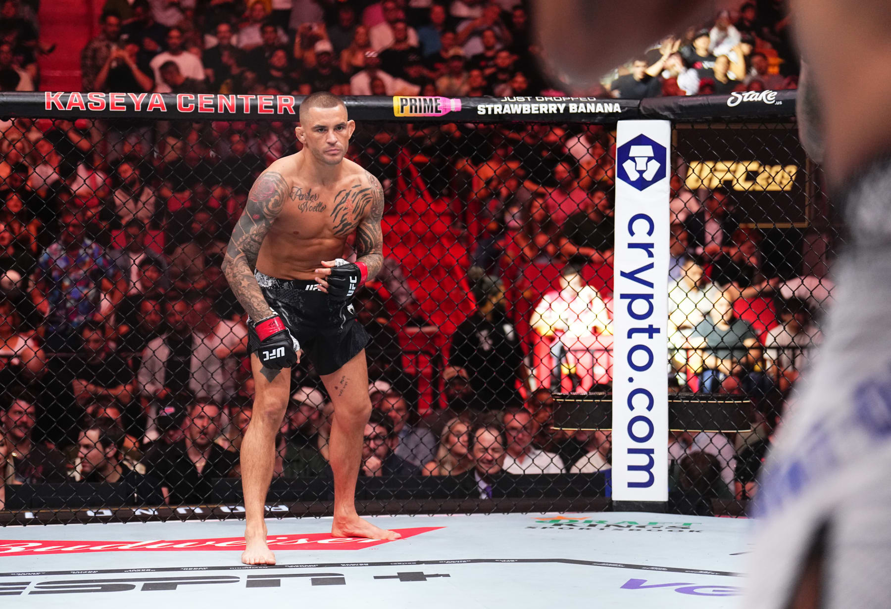 Dustin Poirier