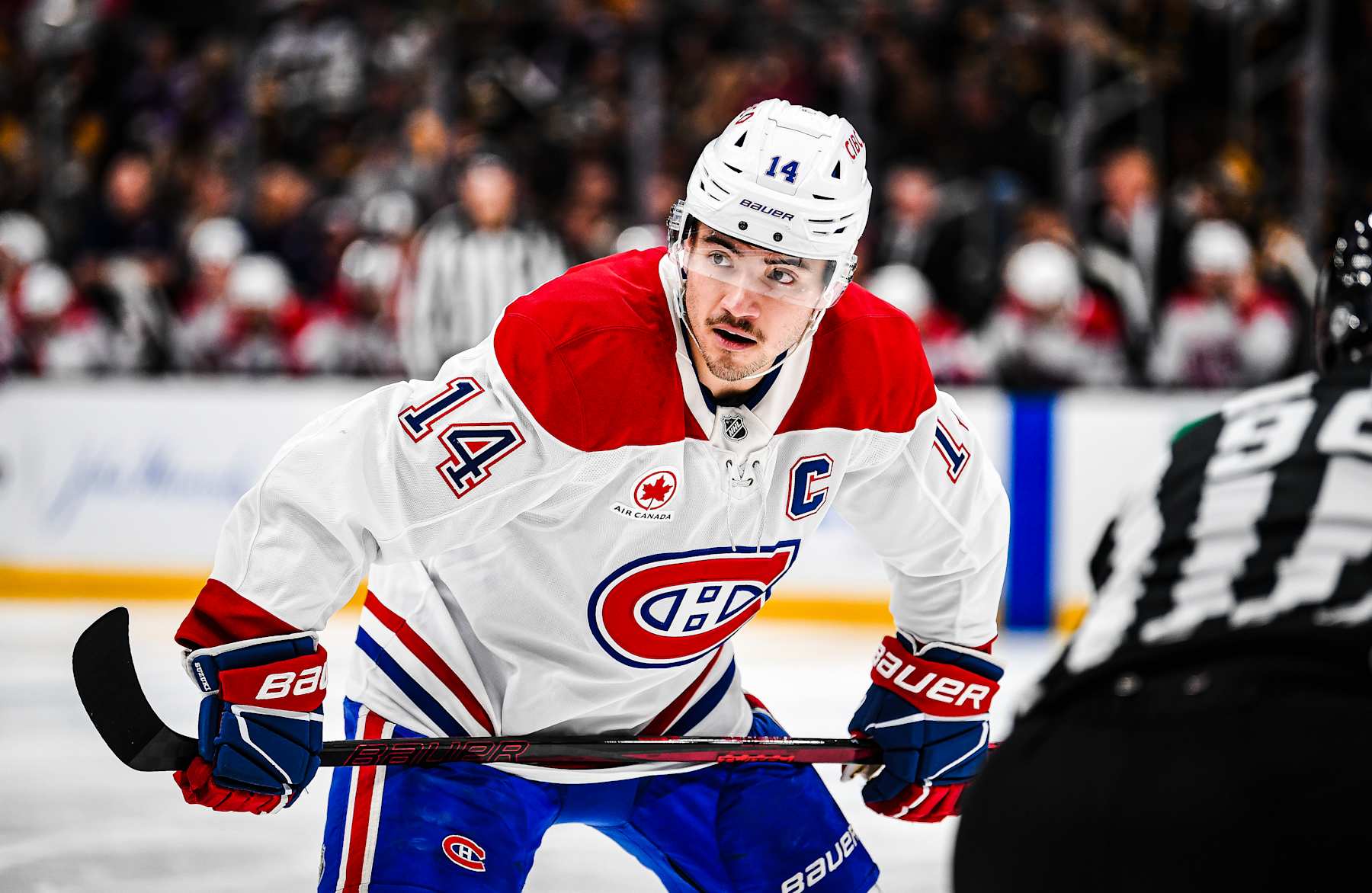 BOSTON, MASSACHUSETTS - DECEMBER 01: Nick Suzuki #14 of the Montreal Canadiens prepares for a face off during the second period against the Boston Bruins at TD Garden on December 01, 2024 in Boston, Massachusetts. (Photo by China Wong/NHLI via Getty Images)
