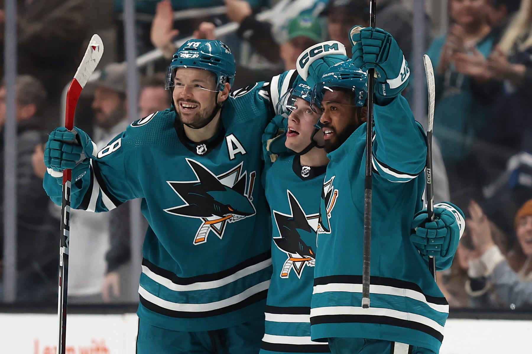 The San Jose Sharks have steadied the ship after a terrible start.