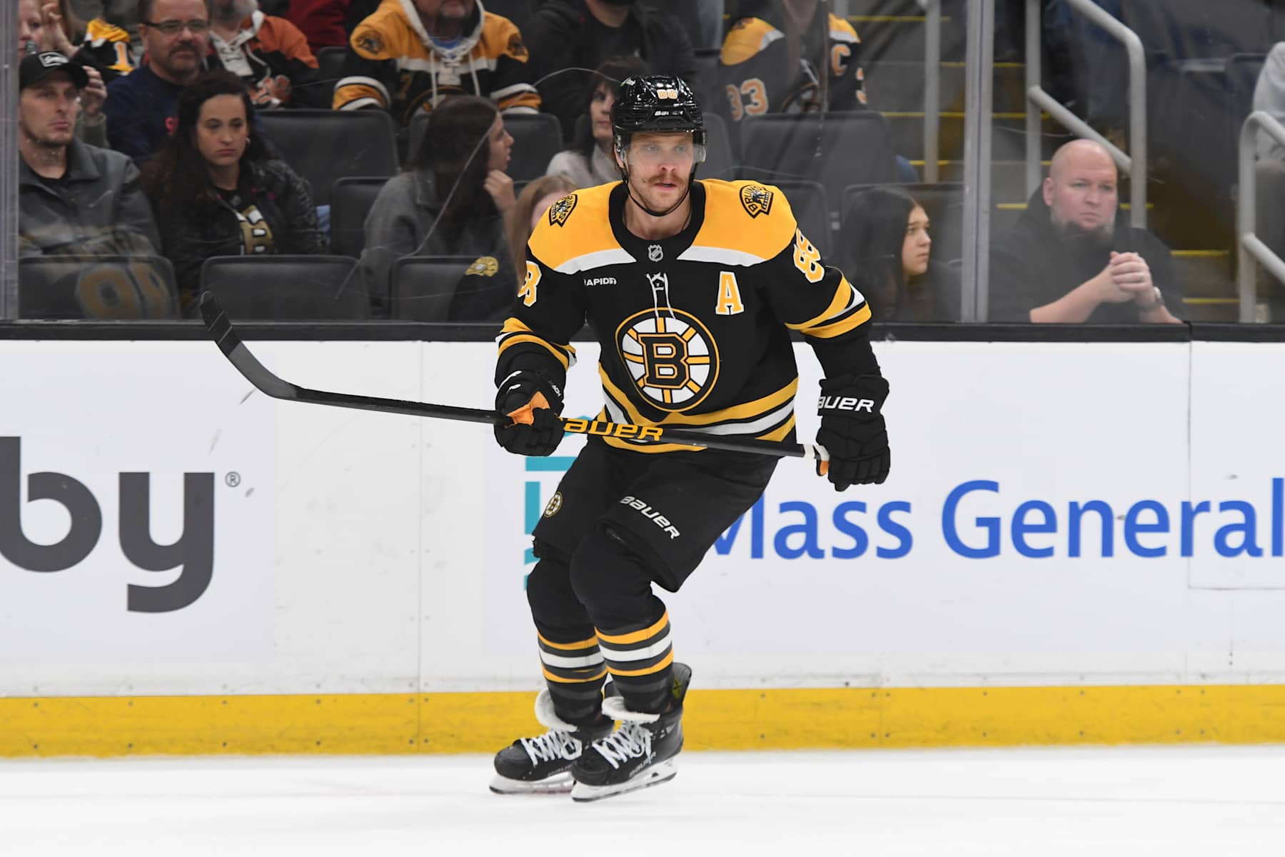 BOSTON, MASSACHUSETTS - NOVEMBER 9: David Pastrnak #88 of the Boston Bruins skates against the Ottawa Senators on November 9, 2024, at the TD Garden in Boston, Massachusetts. (Photo by Steve Babineau/NHLI via Getty Images)