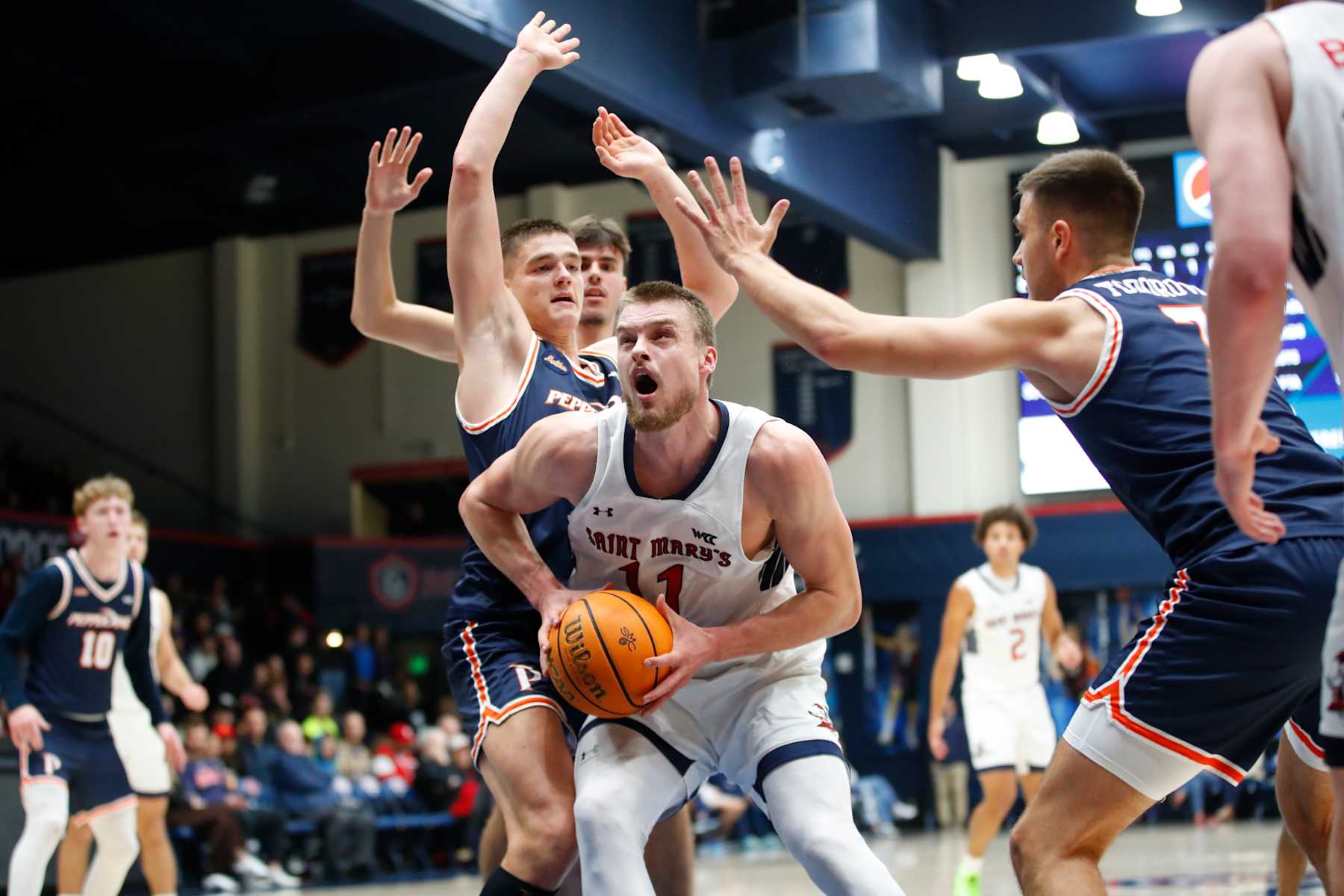 Saint Mary's Mitchell Saxen