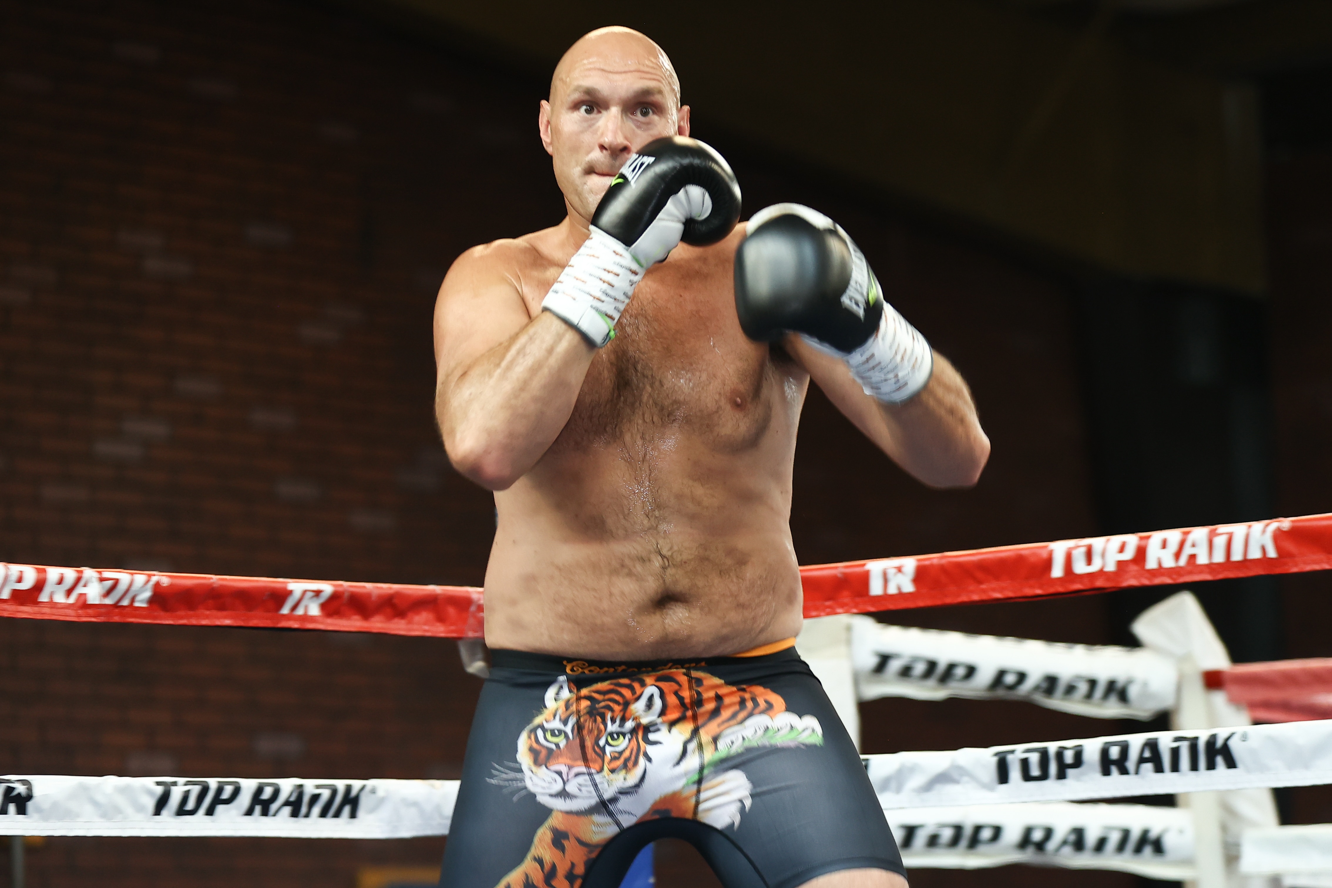 LAS VEGAS, NEVADA - MAY 4: Tyson Fury workouts at the Top Rank Gym on May 4, 2021 in Las Vegas, Nevada. (Photo by Mikey Williams/Top Rank Inc via Getty Images)