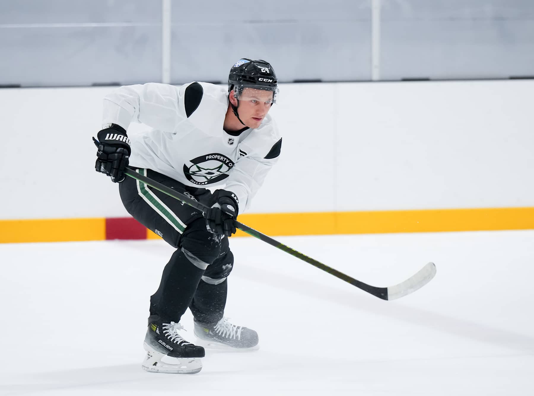 Roope Hintz.