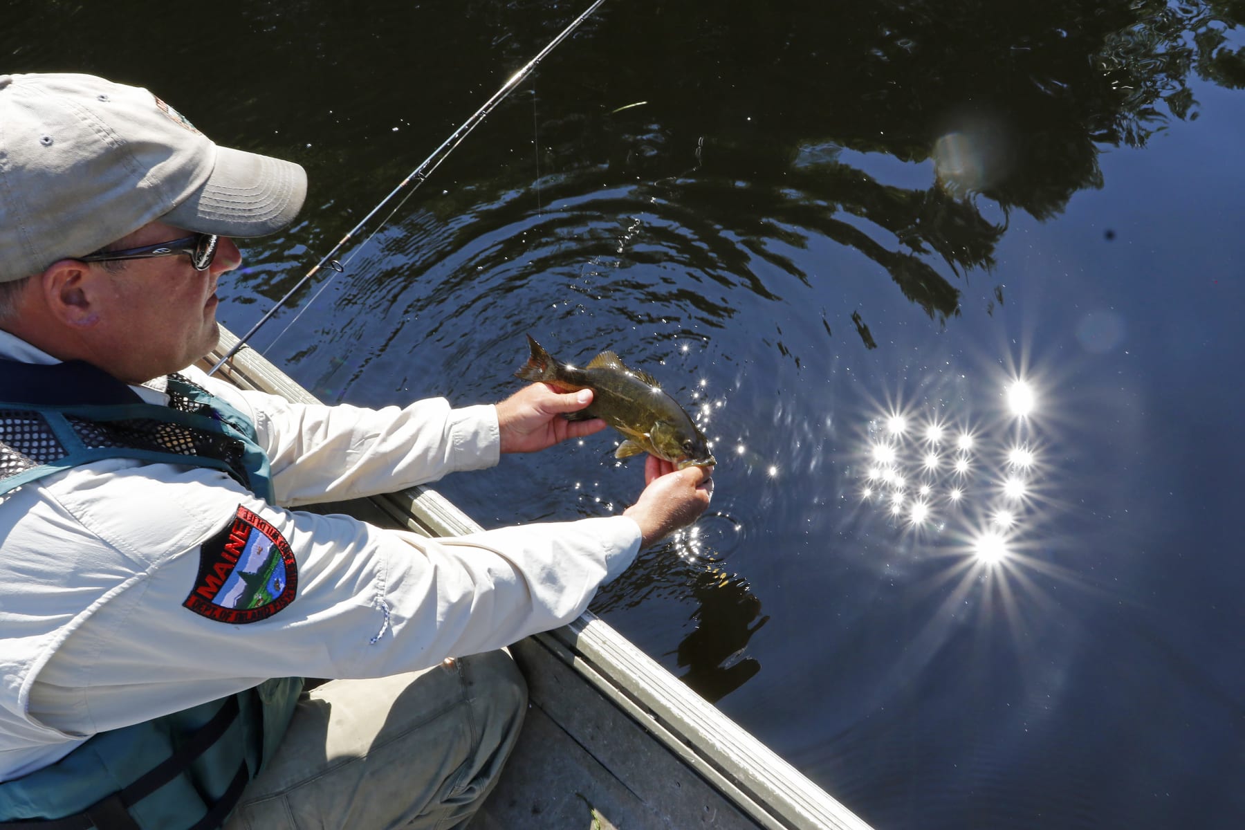 SIDNEY, ME - JULY 9: Scott Davis, Regional Fisheries Biologist, demonstrates how to catch-and-release a fish, without killing it, while fishing for smallmouth bass on the Kennebec River.  (Staff photo by Jill Brady/Portland Portland Press Herald via Getty Images)